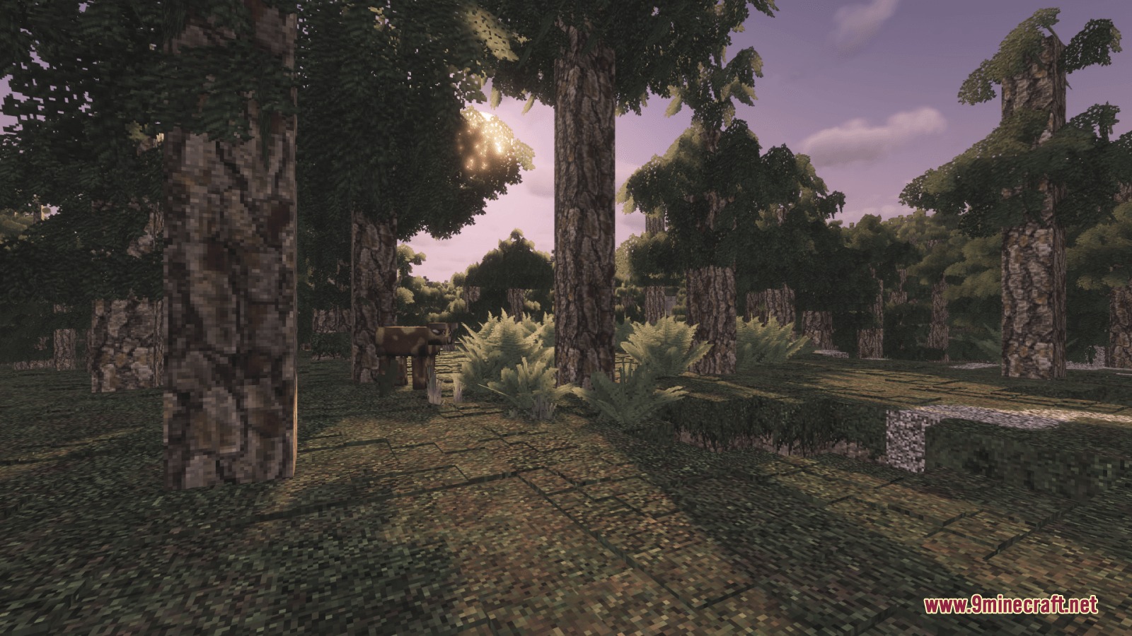 Mostly True Above Resource Pack Screenshot 3 Tall trees with realistic bark textures stand in a dense forest biome