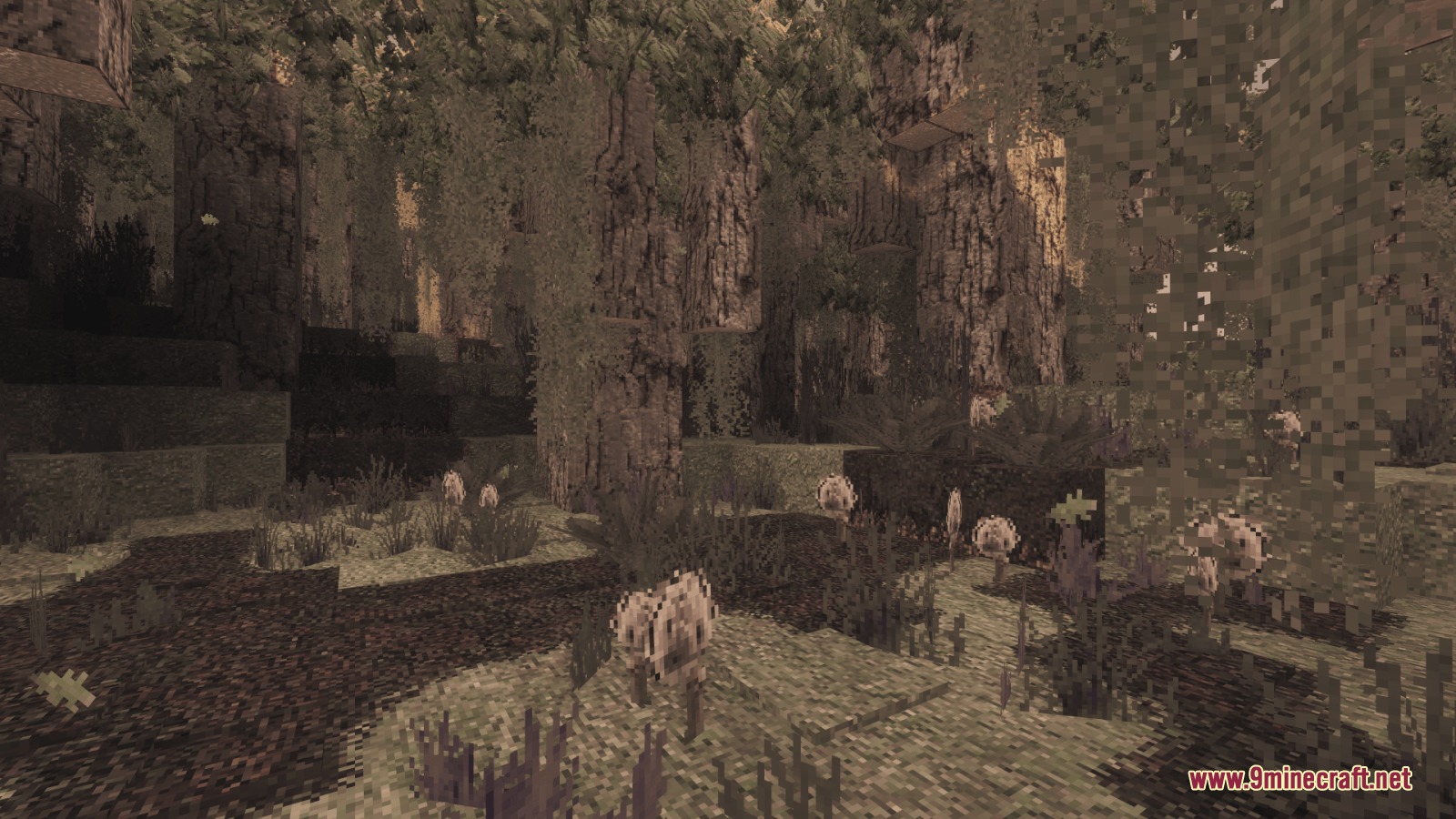 Mostly True Above Resource Pack Screenshot 6 Sunlight filters through a thick forest of pale oak trees with hanging moss