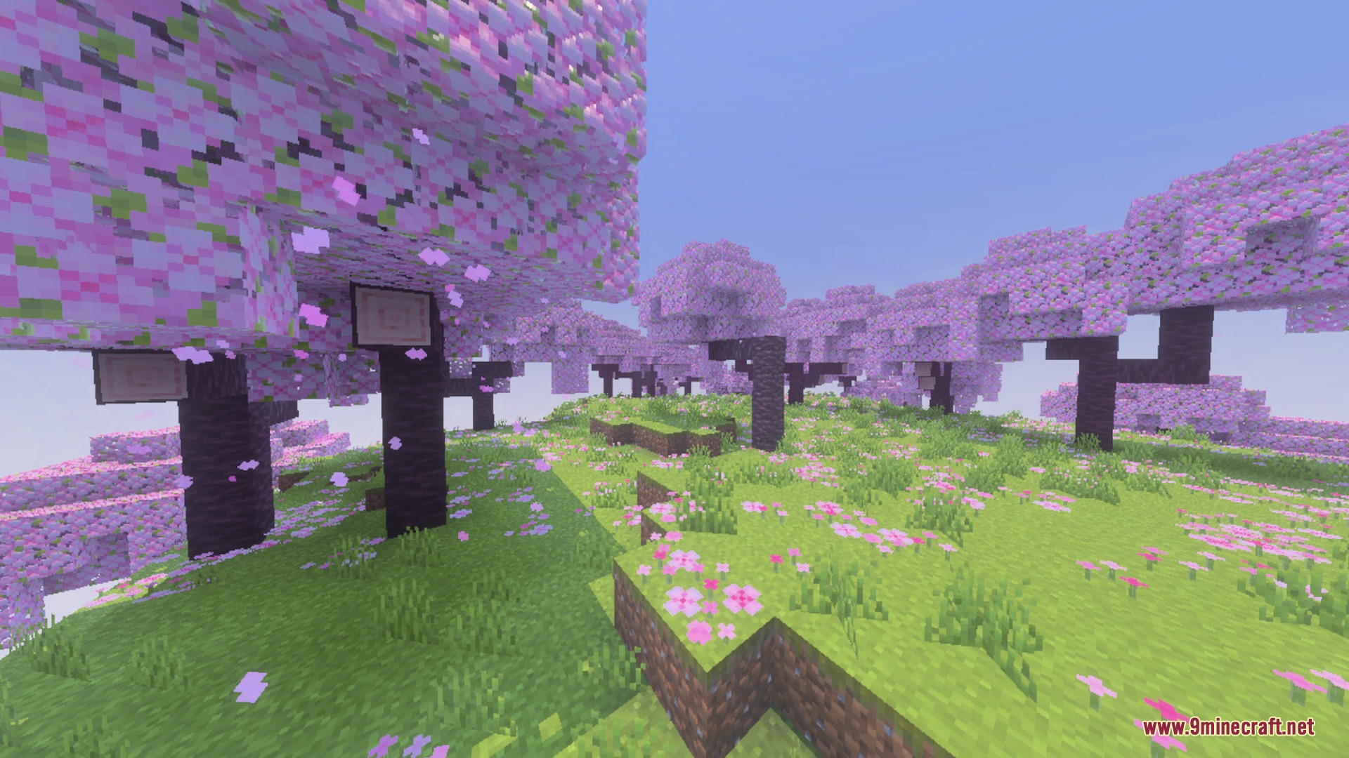 Mr.Atlaz's COMPLETELY NORMAL RTX Shader Screenshot 6 Vibrant cherry blossom trees in a meadow with pink petals scattered on grass