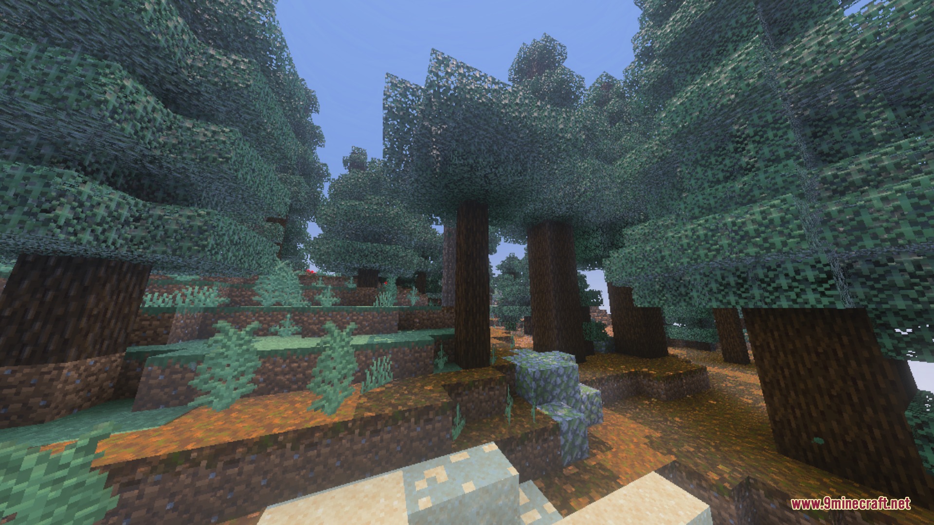 Mr.Atlaz's COMPLETELY NORMAL RTX Shader Screenshot 7 Dense spruce forest with podzol ground and realistic lighting in a taiga biome