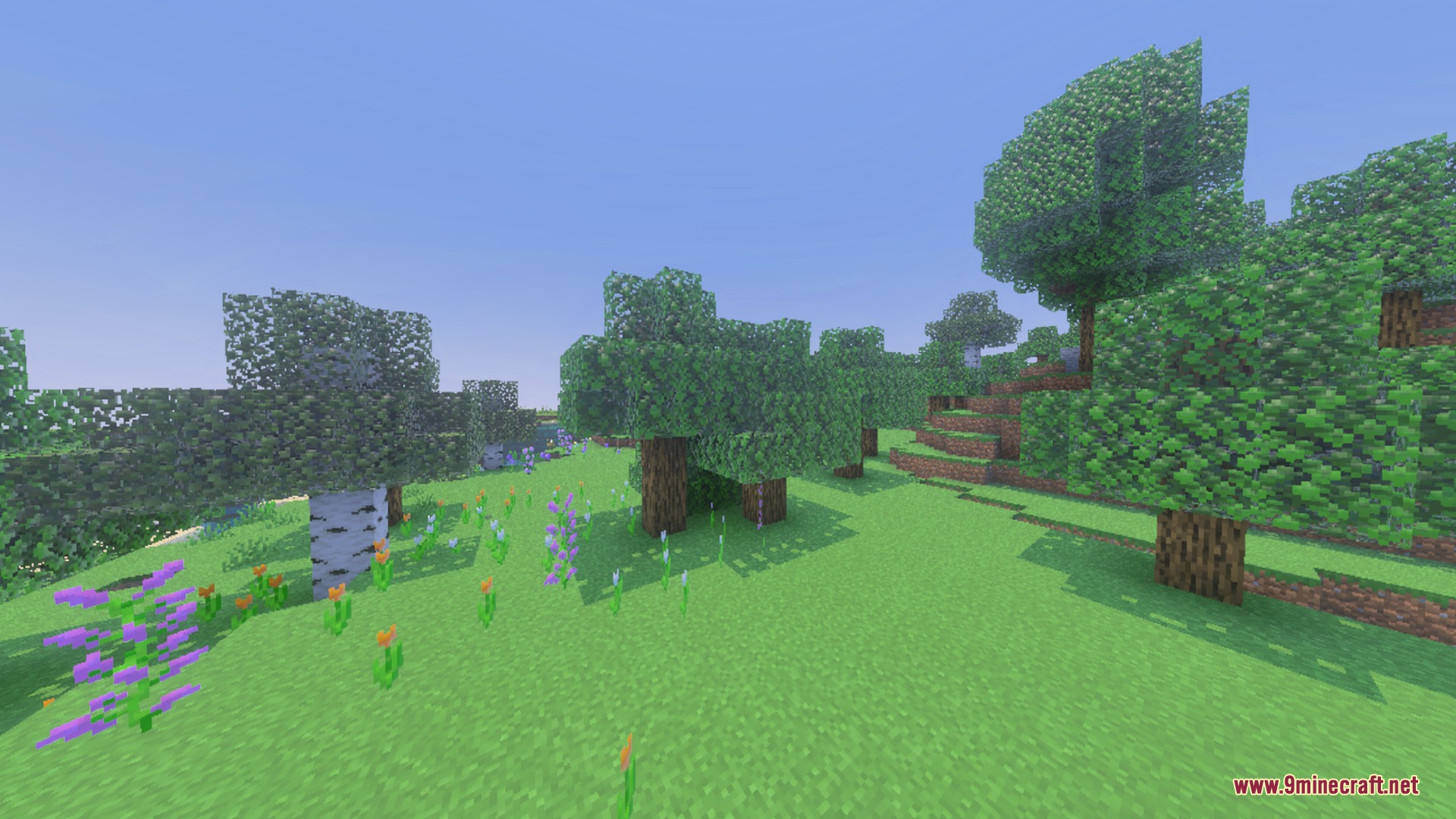 Mr.Atlaz's COMPLETELY NORMAL RTX Shader Screenshot 9 Vibrant Minecraft meadow with realistic lighting and colorful flowers under clear skies
