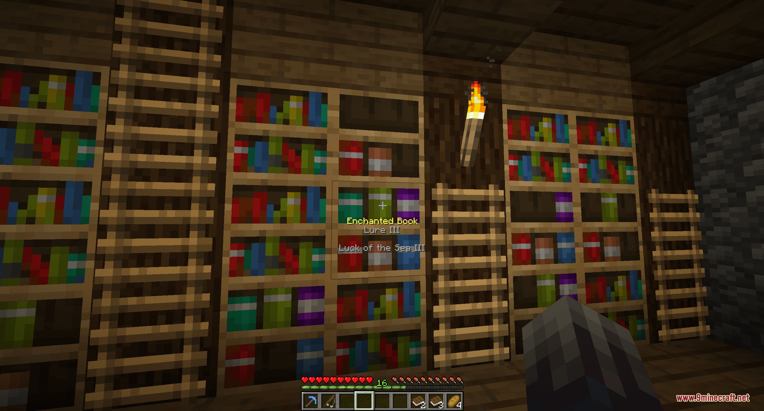 Mystic Arcane Relics Mod Screenshot 2 Player viewing enchanted book tooltips on a chiseled bookshelf