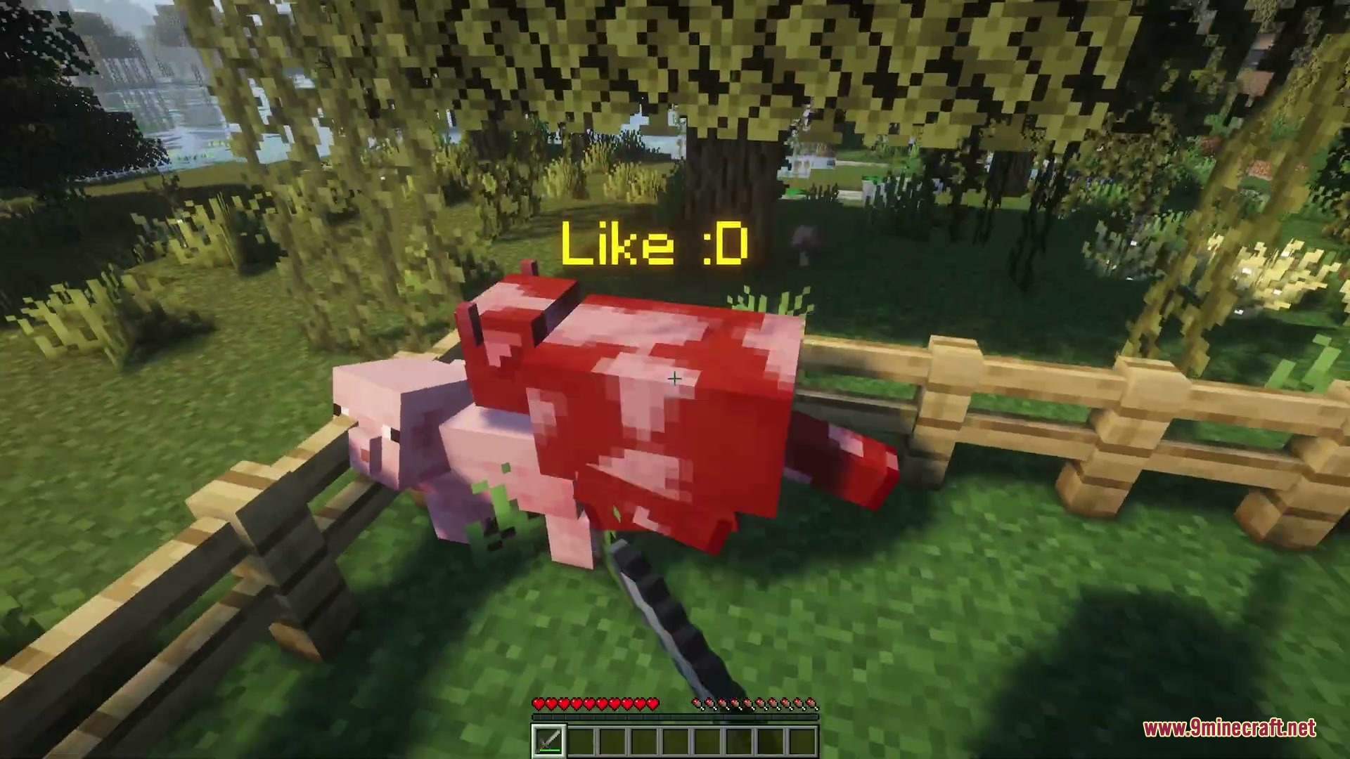 Name Tag Upgrade Mod Screenshot 3 A player uses a name tag to label a pig and red cow