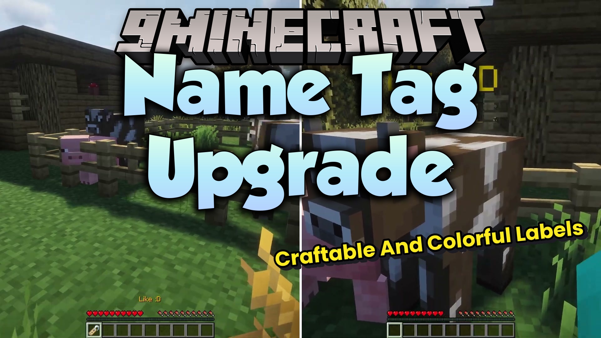 Name Tag Upgrade Mod