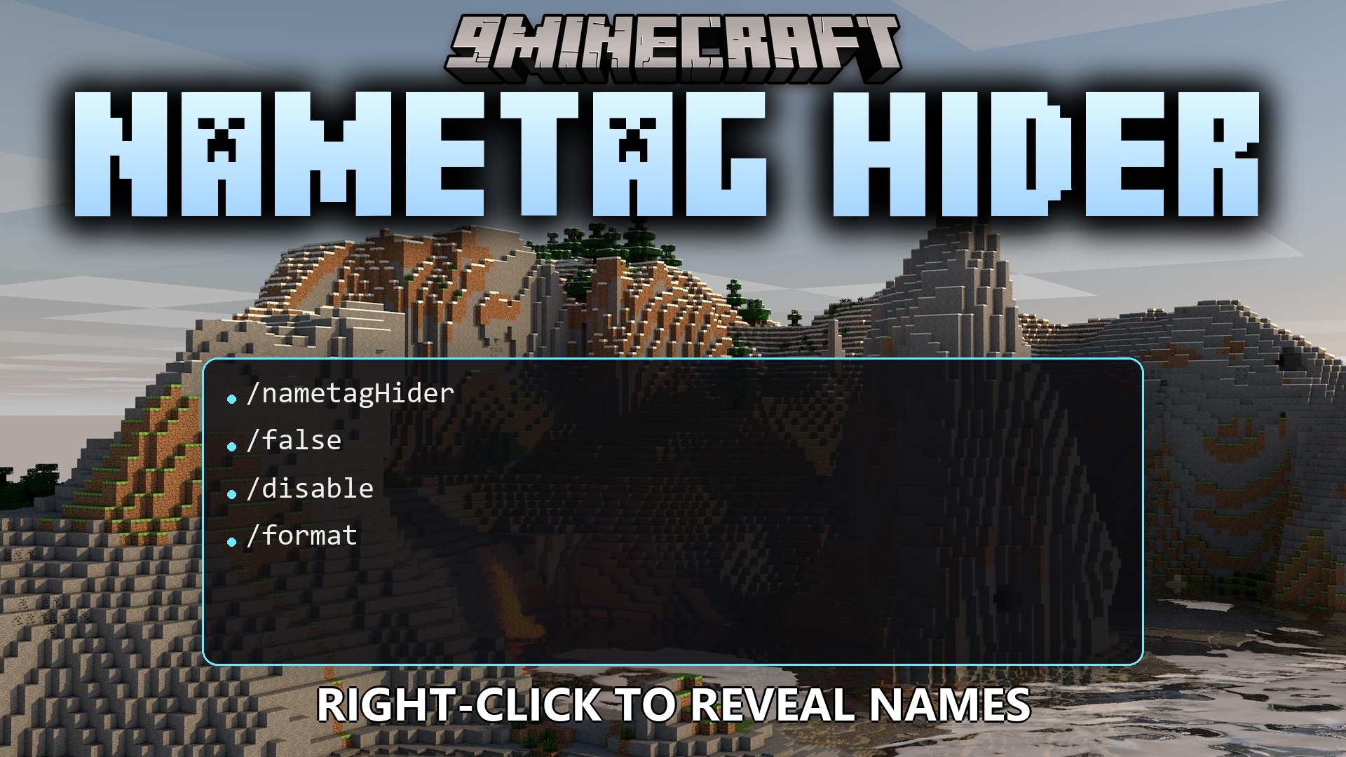 Nametag Hider Plugin