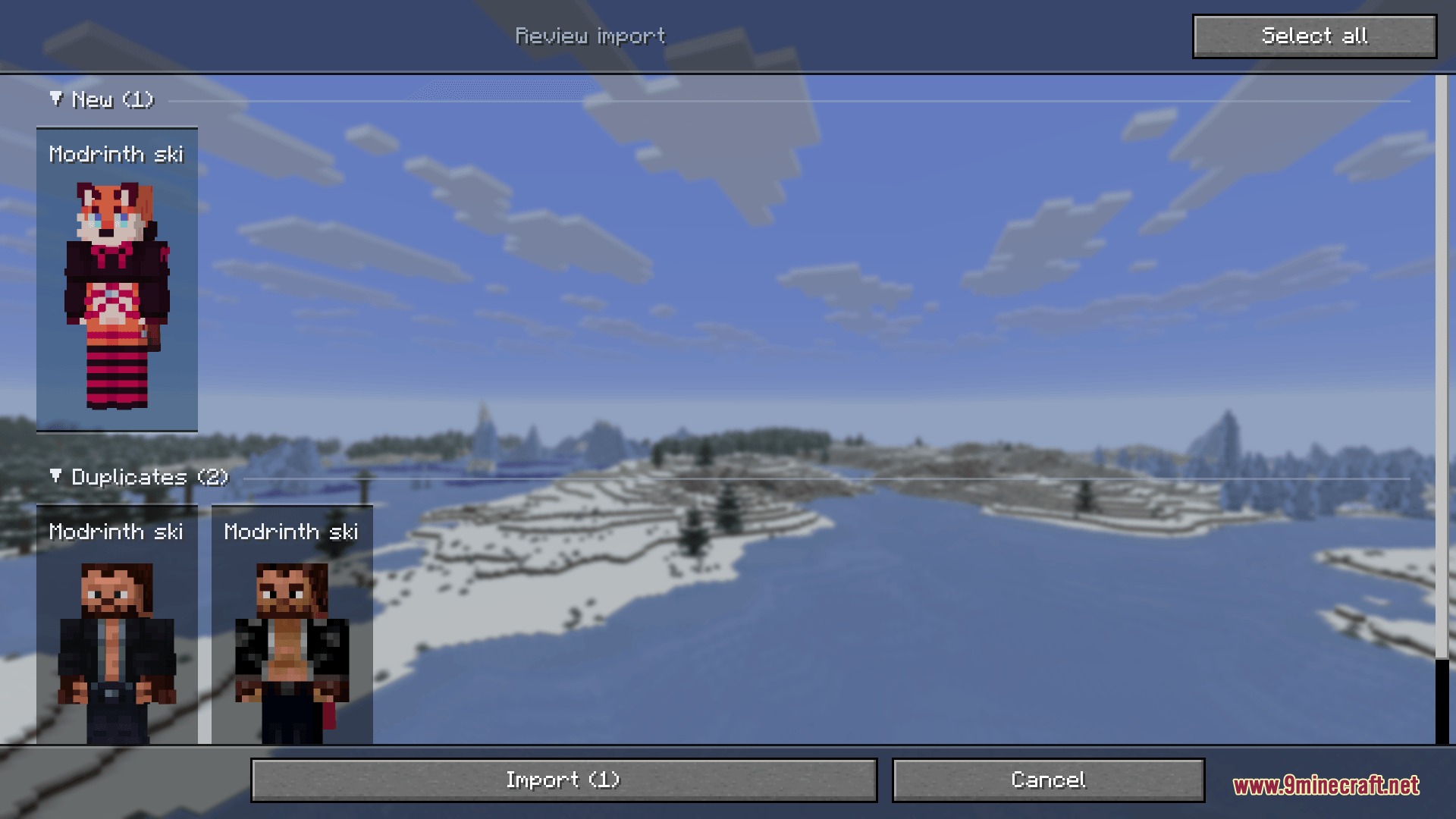 Native Persona Skinning Mod Screenshot 5 Minecraft menu interface for reviewing and importing custom character skins
