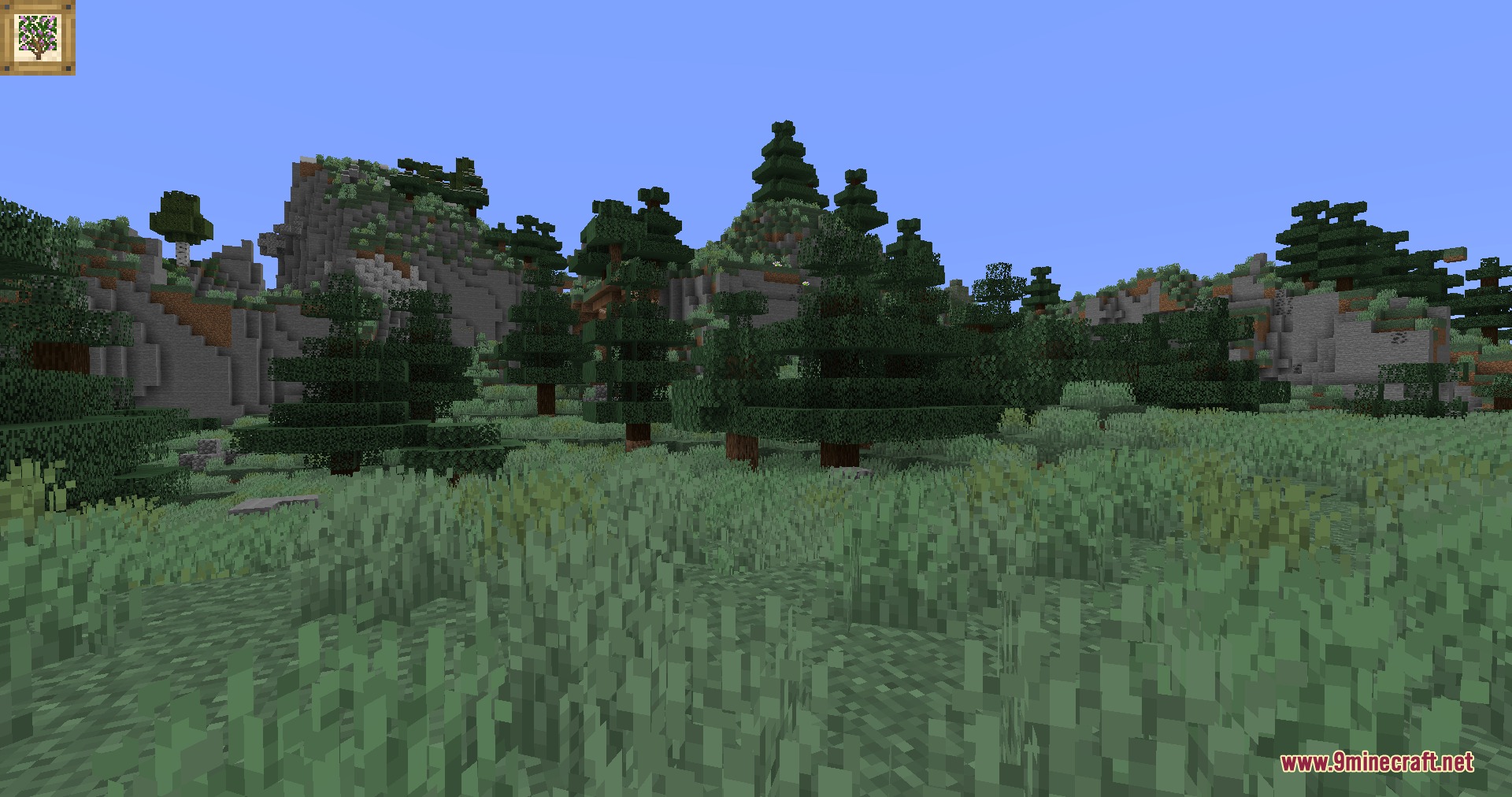 Natural Philosophy Mod Screenshot 1 Lush green grass and spruce trees growing near a rocky mountain side