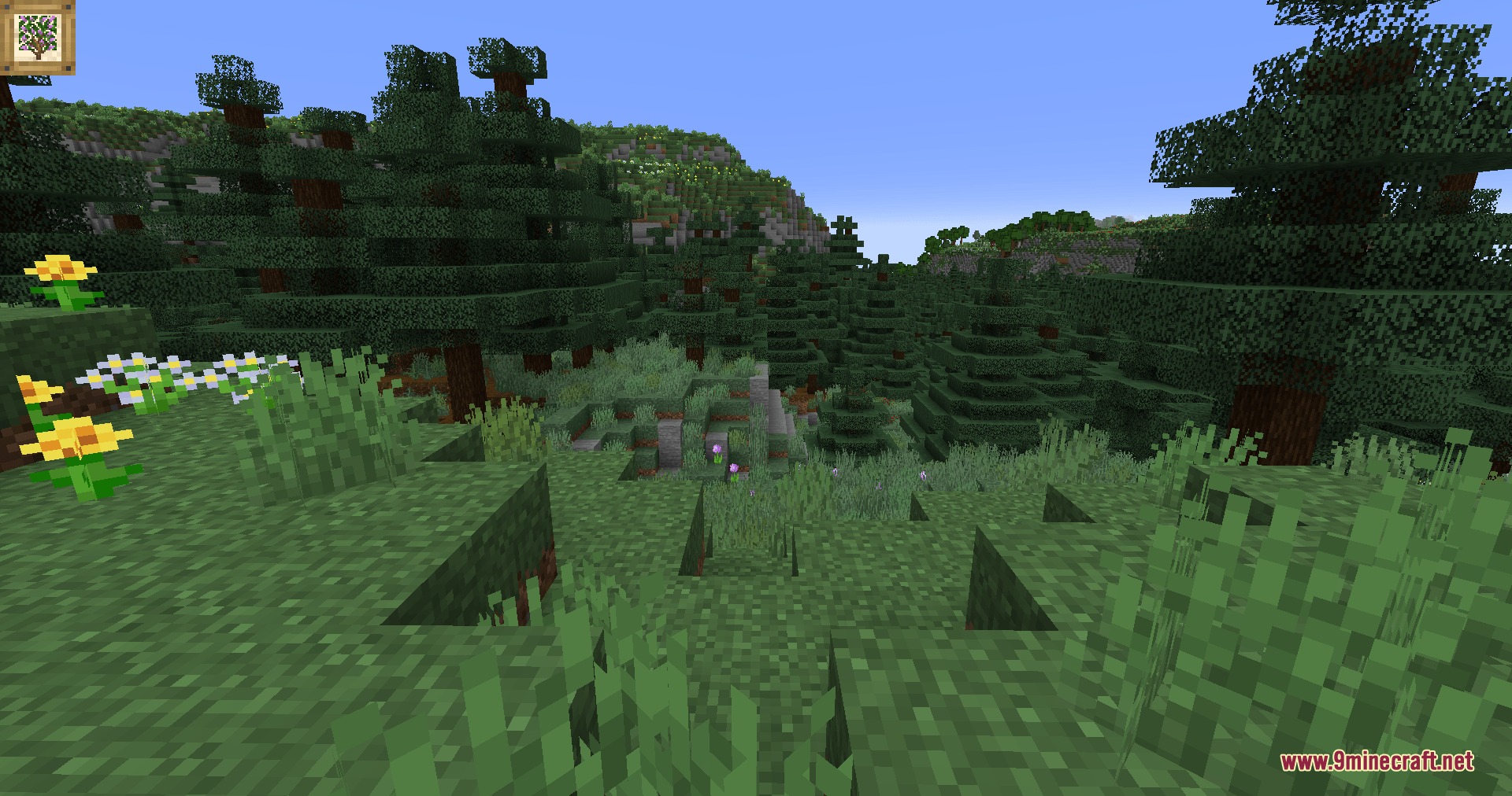Natural Philosophy Mod Screenshot 2 Yellow and white flowers bloom on a hillside overlooking a dense forest