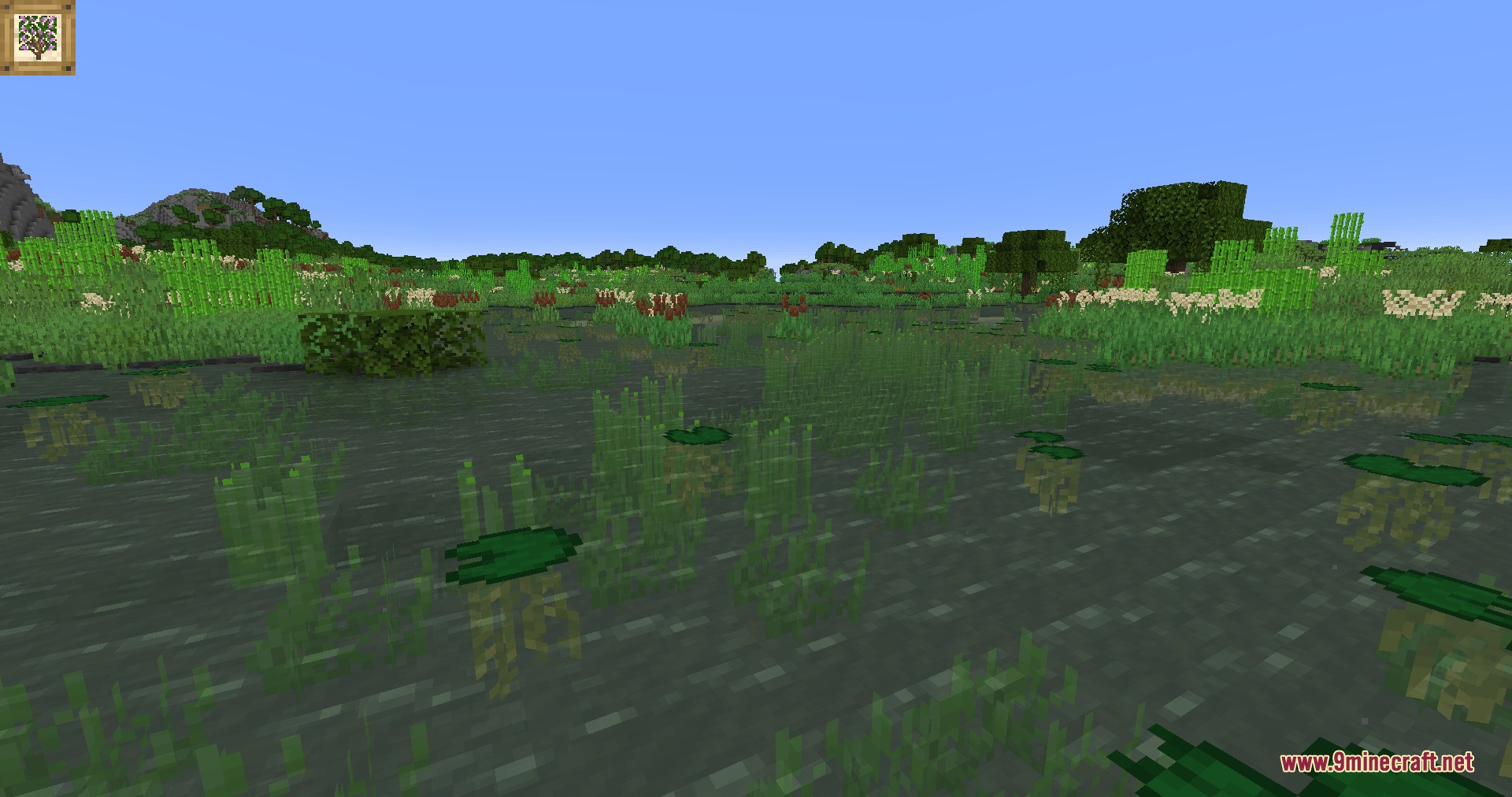 Natural Philosophy Mod Screenshot 3 A swamp biome with thick rushbeds lily pads and sugarcane in the water
