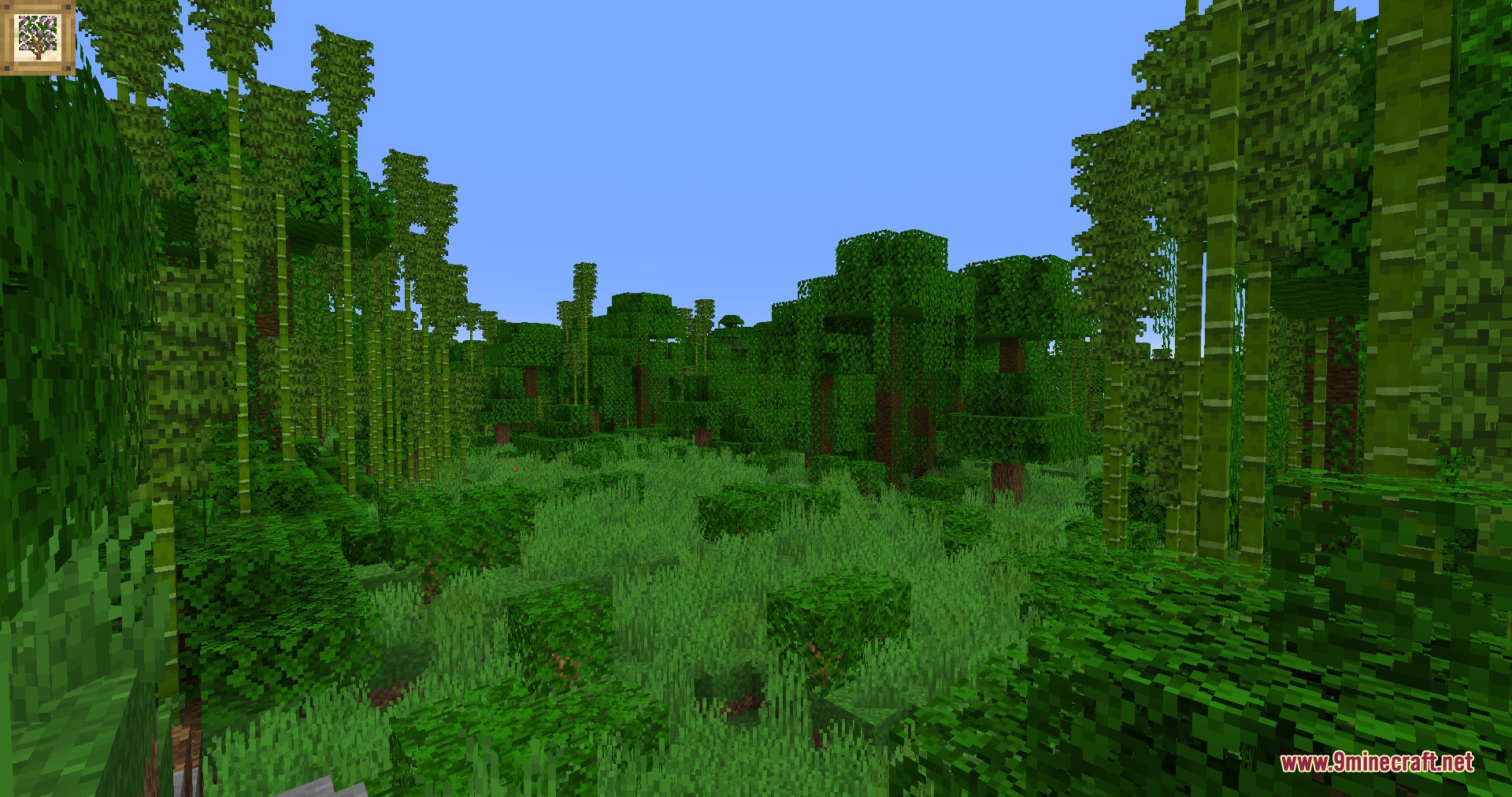 Natural Philosophy Mod Screenshot 4 A dense jungle biome with tall bamboo stalks and lush green forest vegetation
