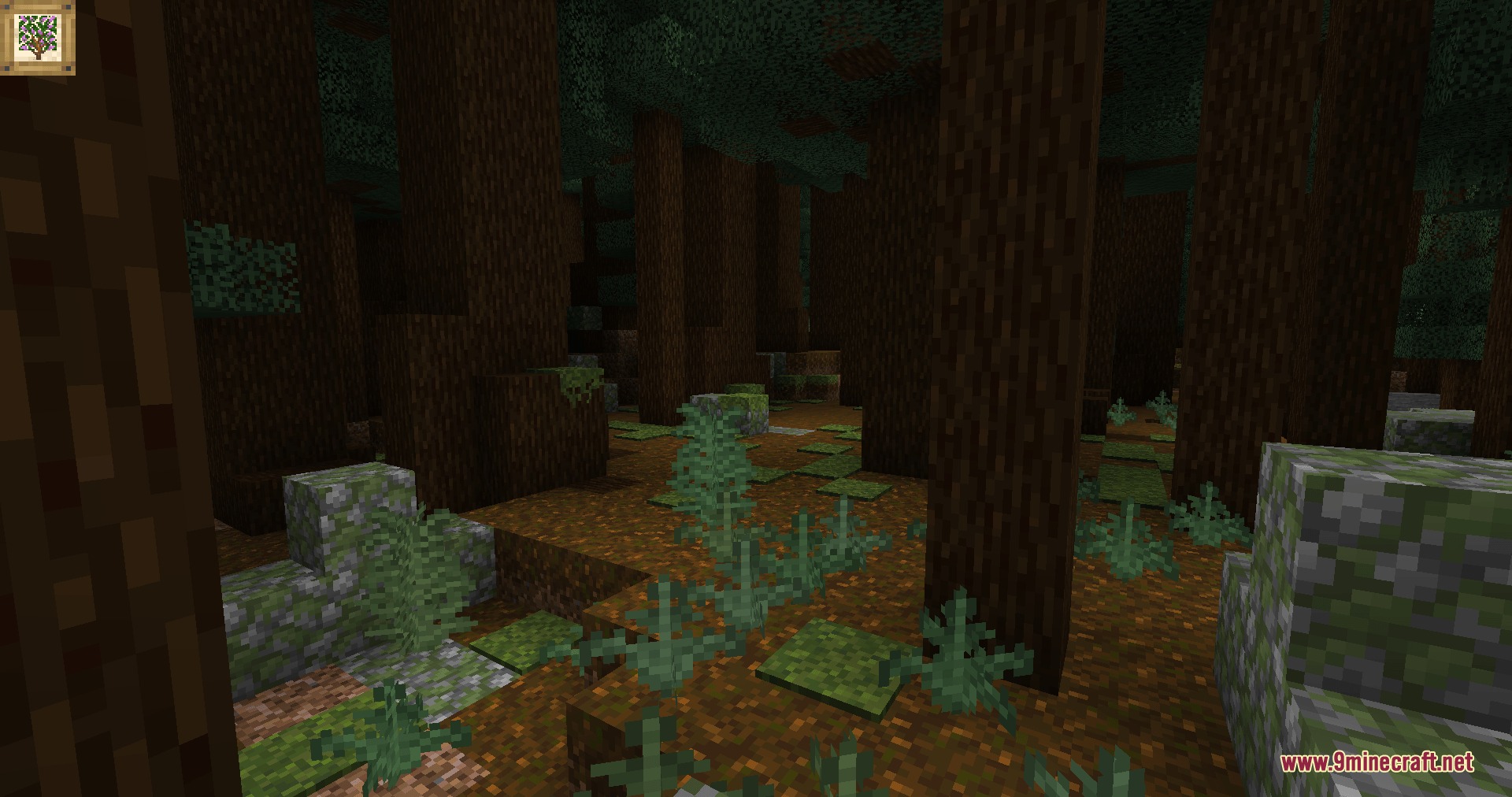 Natural Philosophy Mod Screenshot 7 A dark spruce forest with mossy rocks and thick ferns on podzol ground