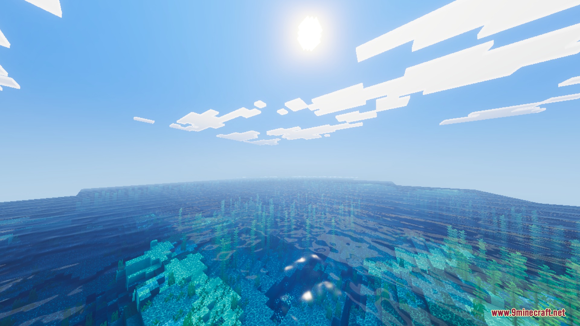 Bright sunlight reflects on clear blue water with visible underwater seagrass and kelp