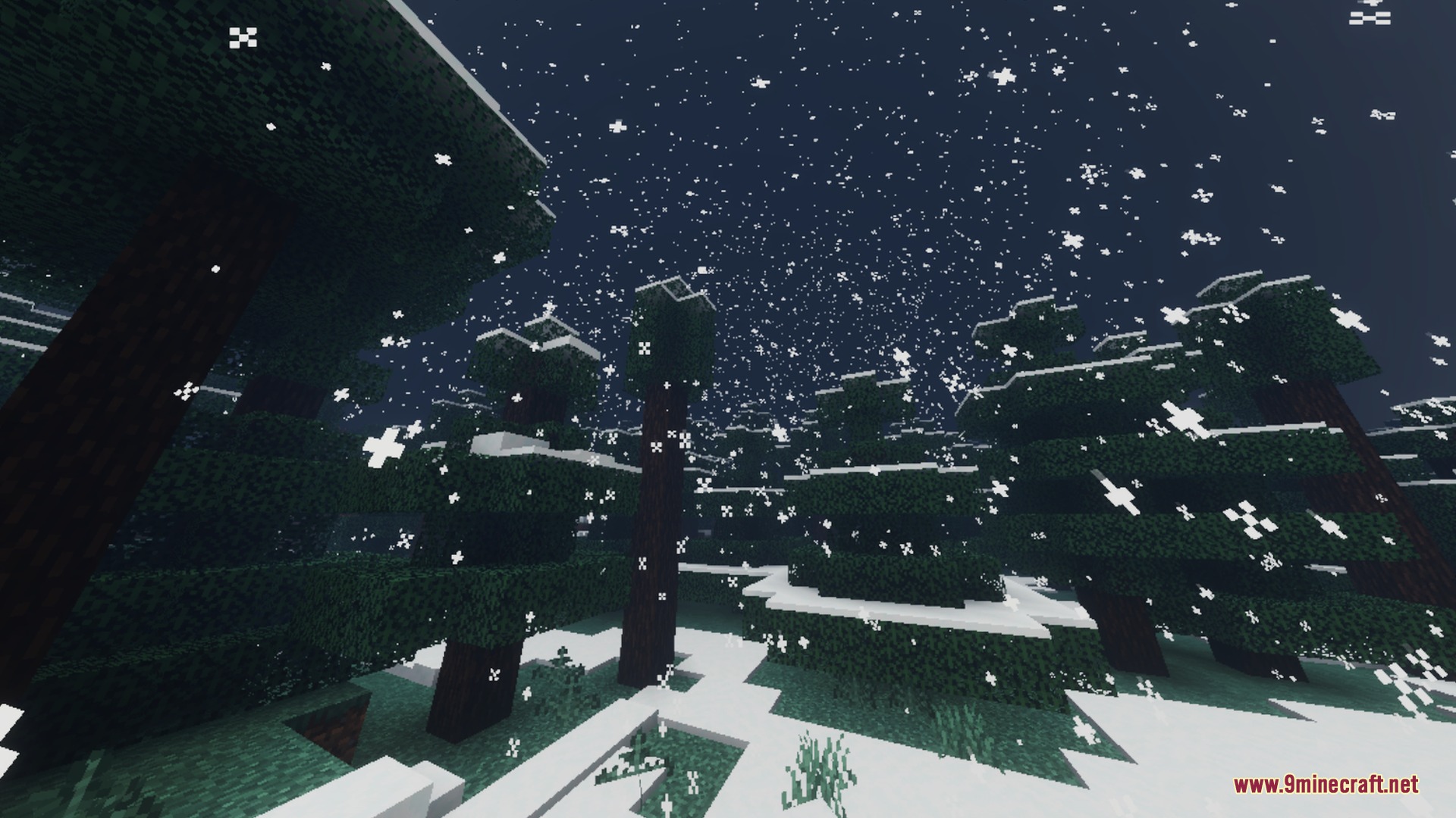 Snowflakes falling over snowy pine trees in a dark taiga biome at night
