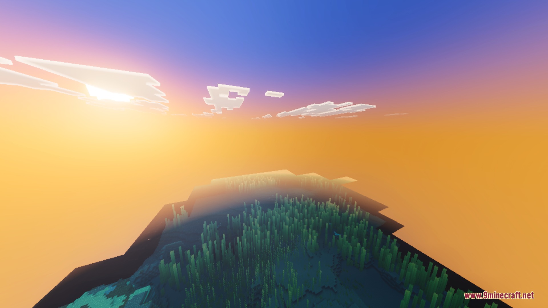 Warm sunset light glows over a deep ocean filled with tall green kelp