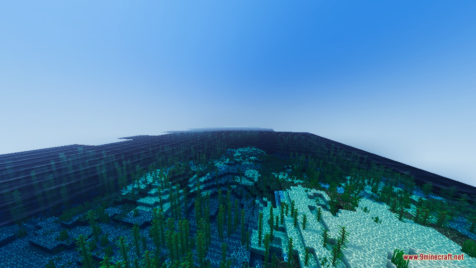 Clear underwater scene featuring kelp forests and sandy ocean floor with sunlight