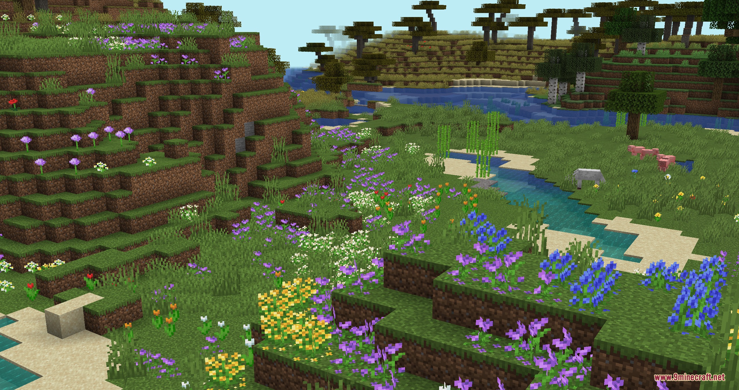 Naturalist Biomes Java Mod (1.21.1) – Wander Scenic Lands Filled — screenshot 2