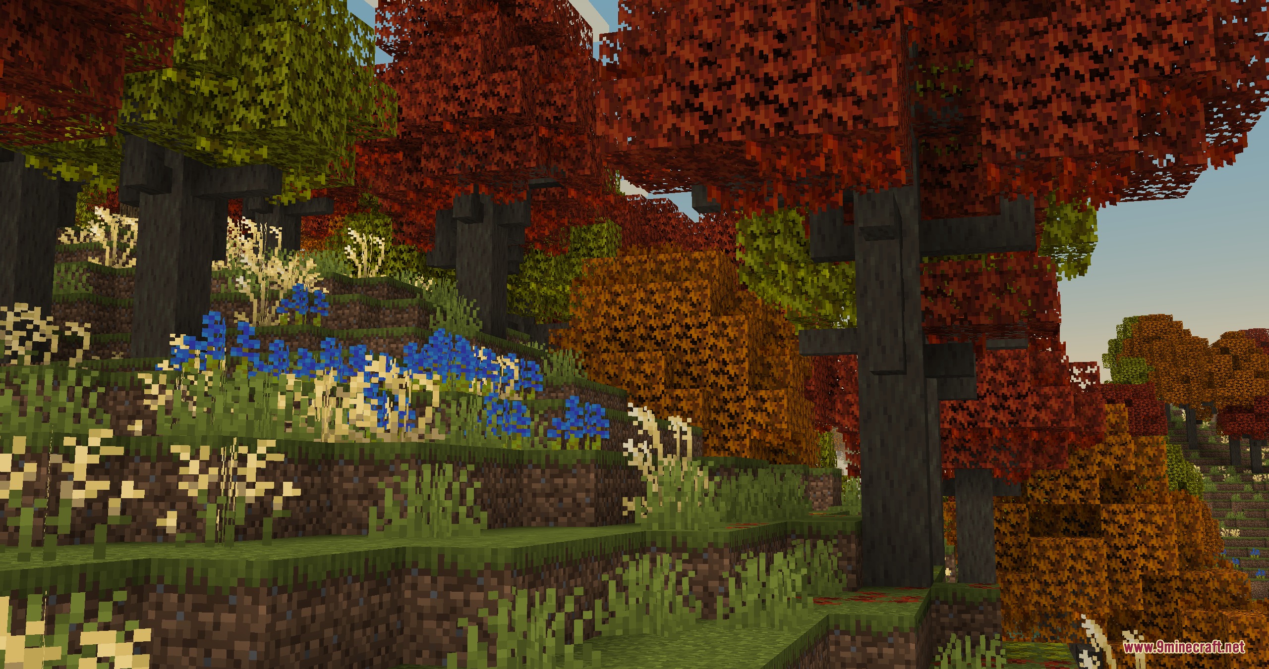 Naturalist Biomes Java Mod (1.21.1) – Wander Scenic Lands Filled — screenshot 4