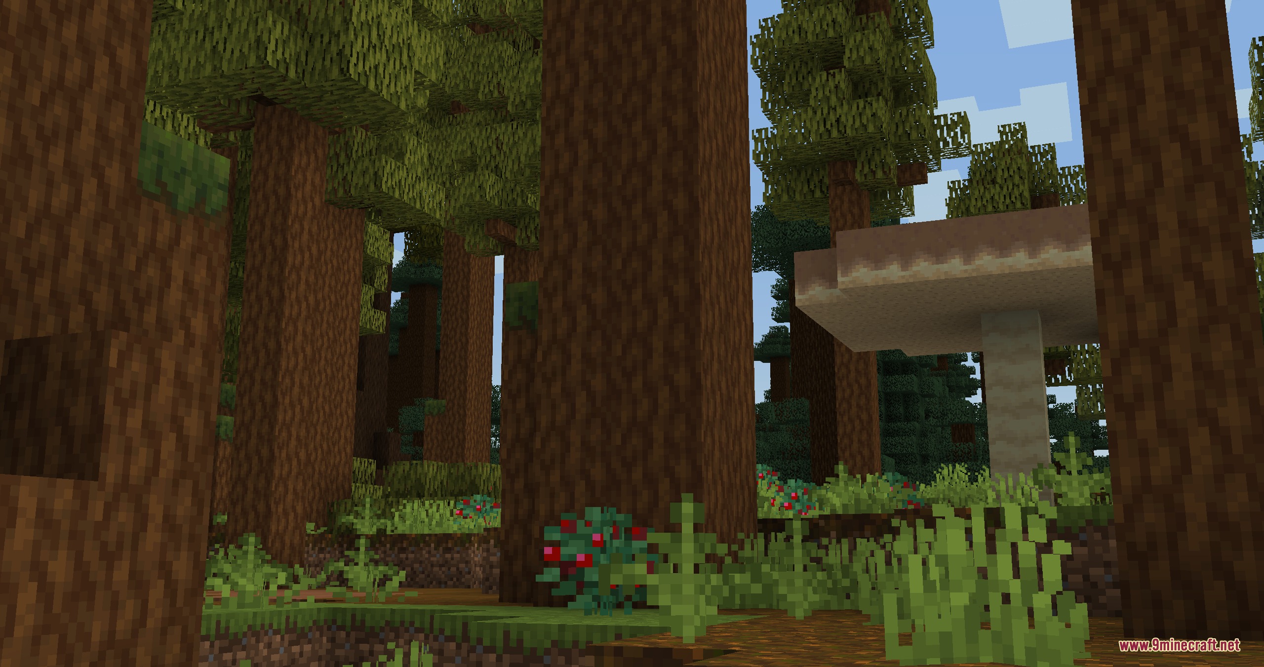 Naturalist Biomes Java Mod (1.21.1) – Wander Scenic Lands Filled — screenshot 5