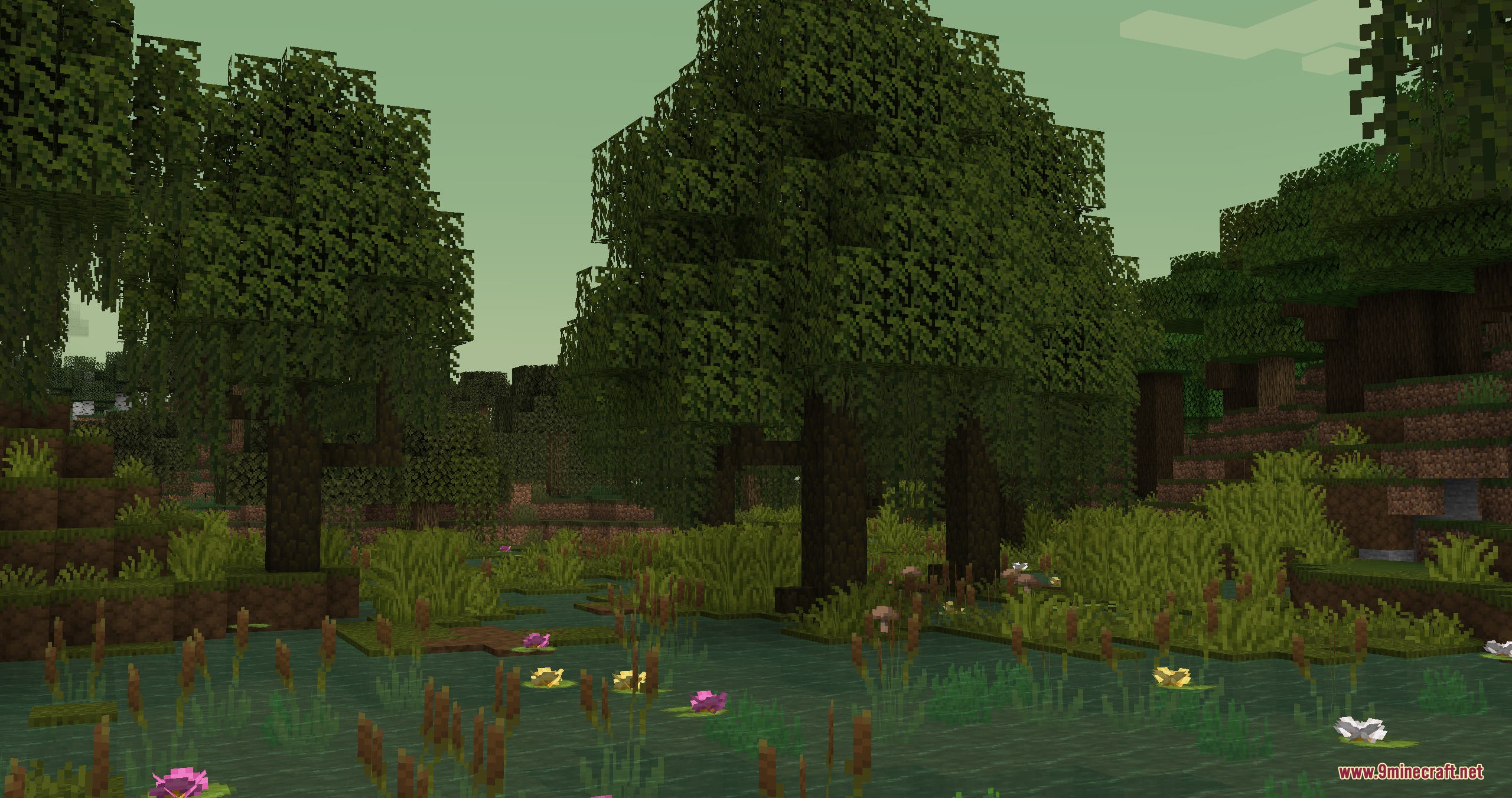 Naturalist Biomes Java Mod (1.21.1) – Wander Scenic Lands Filled — screenshot 6