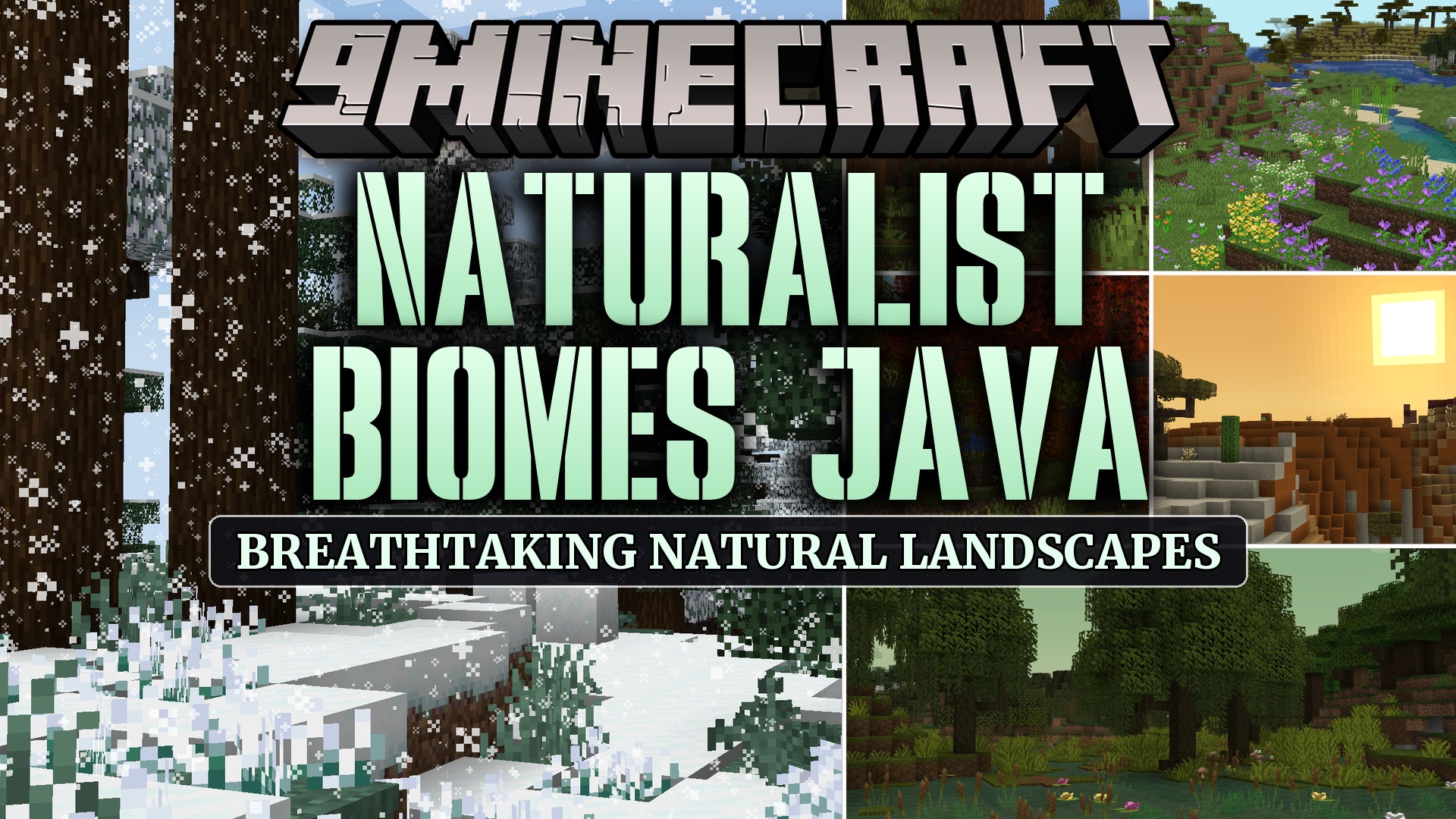 Naturalist Biomes Java Mod (1.21.1) – Wander Scenic Lands Filled