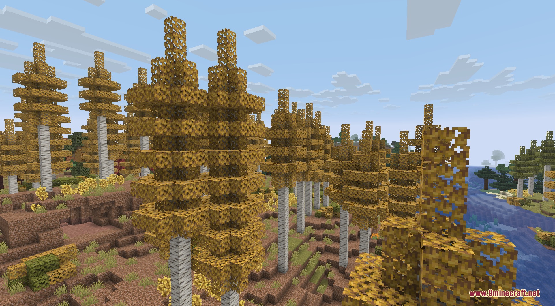 Tall golden aspen trees growing in a new forest biome in Minecraft