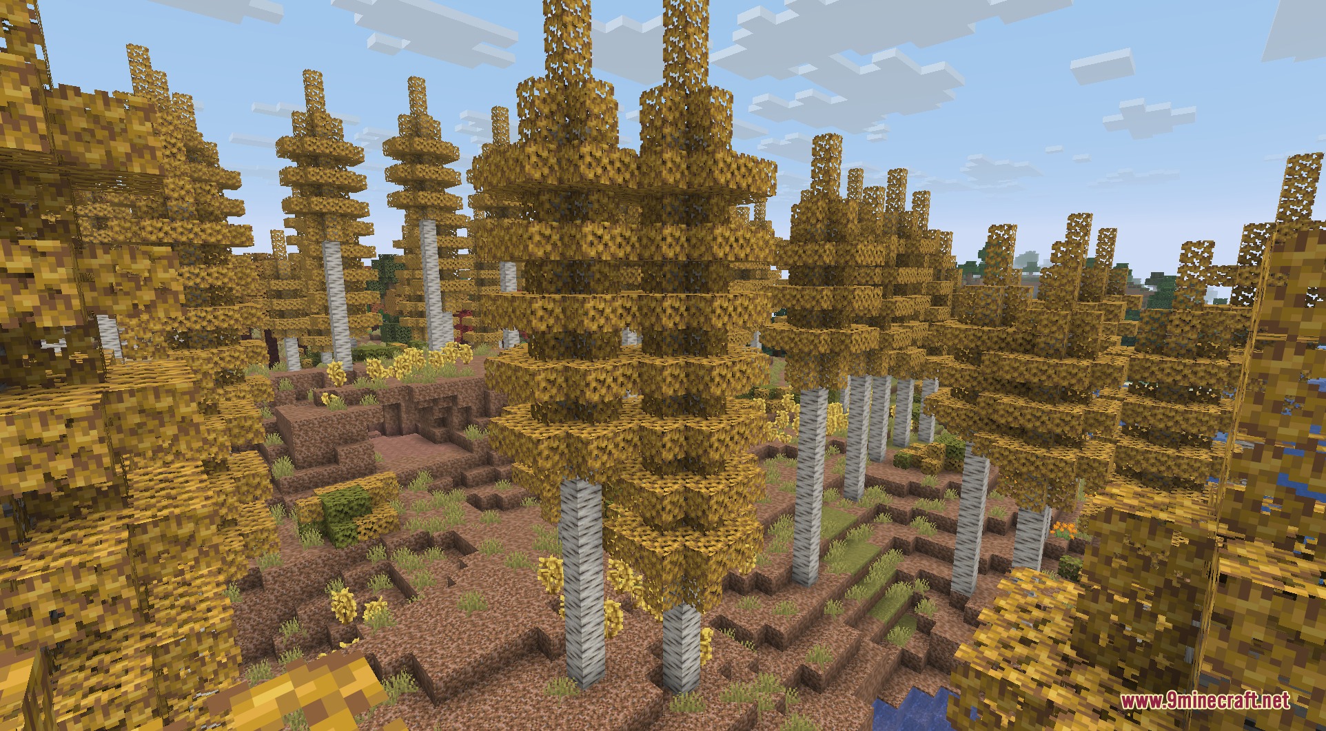 Tall golden aspen trees grow across a hilly landscape in the Aspen Forest