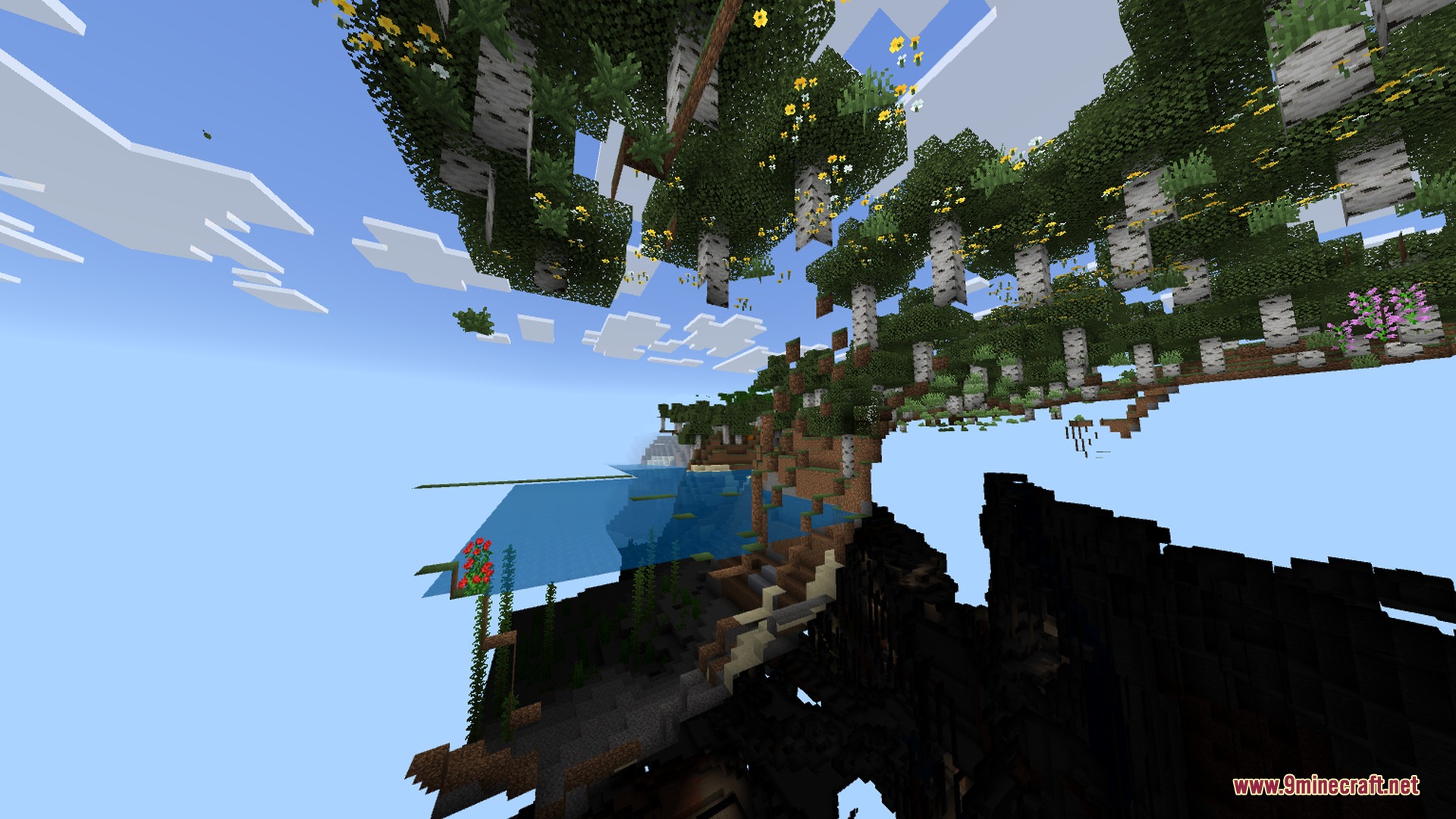 Birch trees and dark caves visible through transparent ground in a Minecraft forest