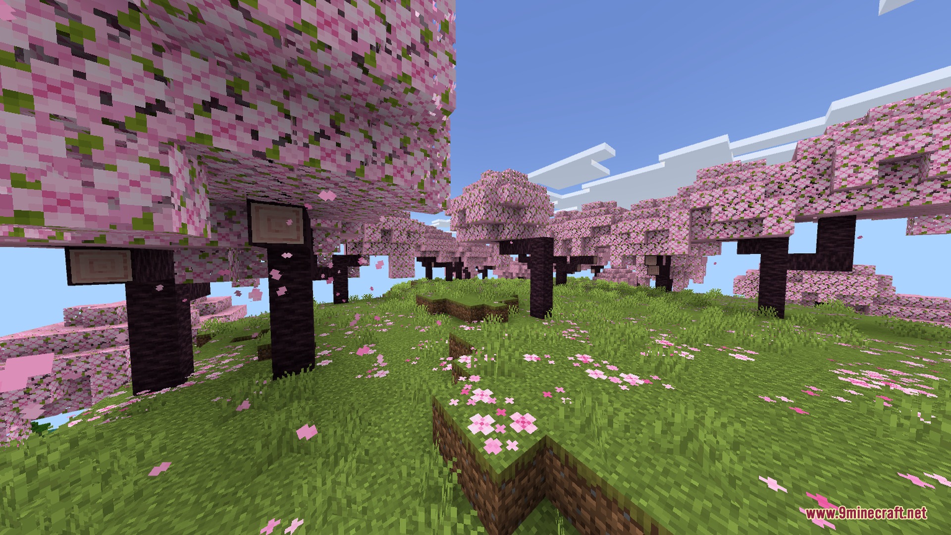 Vibrant cherry blossom trees with pink leaves in a lush green biome