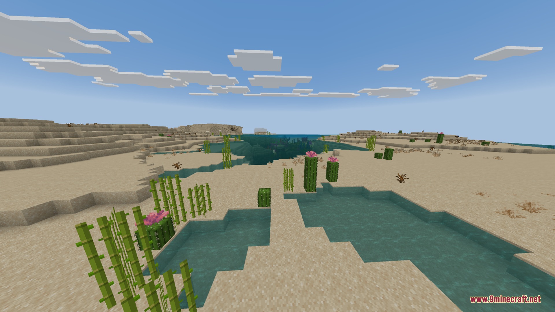 Bamboo and pink flowering cacti scattered across a sunny Minecraft desert landscape