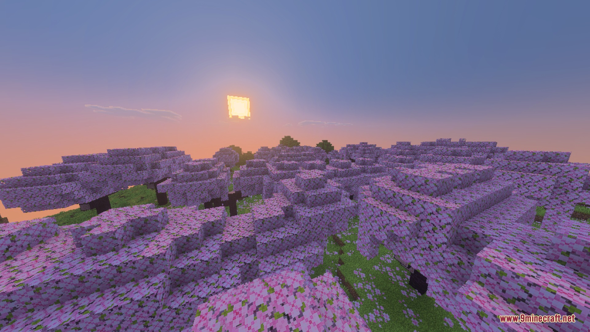 Newb Vibrance Shader (26.x) – Vivid Colors and Water Reflections on Any Device — screenshot 2