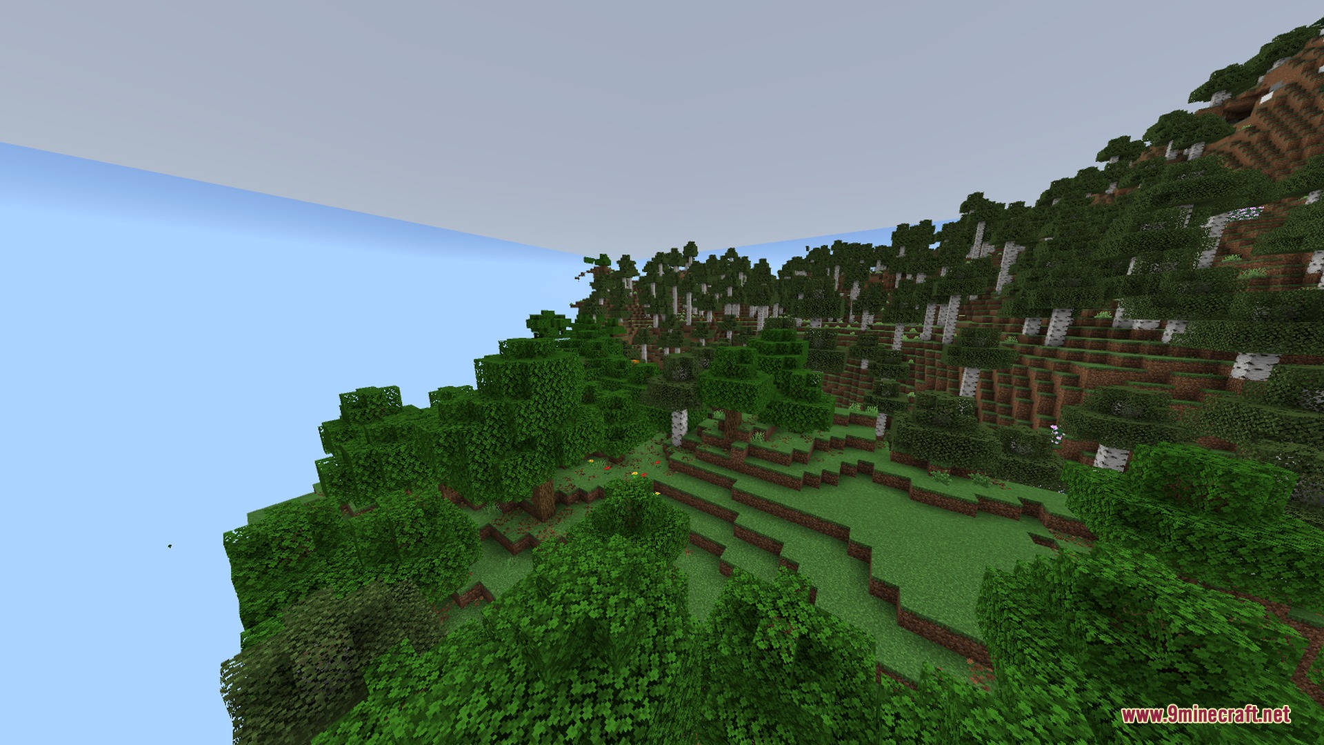 Lush green forest with oak and birch trees on a steep hillside