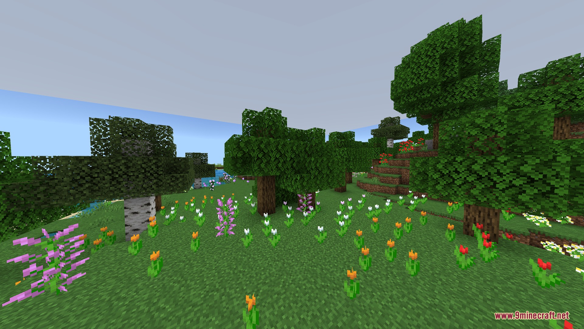 A vibrant flower forest with birch trees under a clear blue sky
