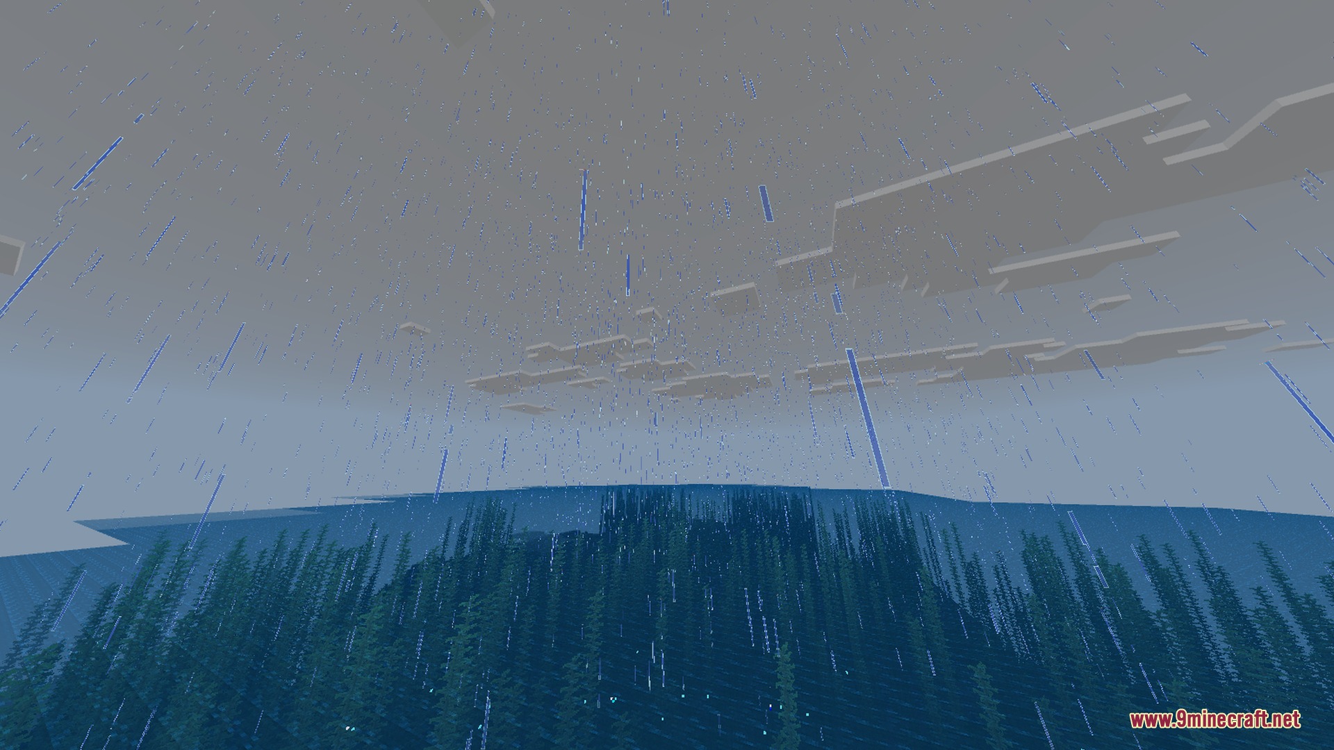 Rain falls from a grey sky onto an ocean with underwater kelp
