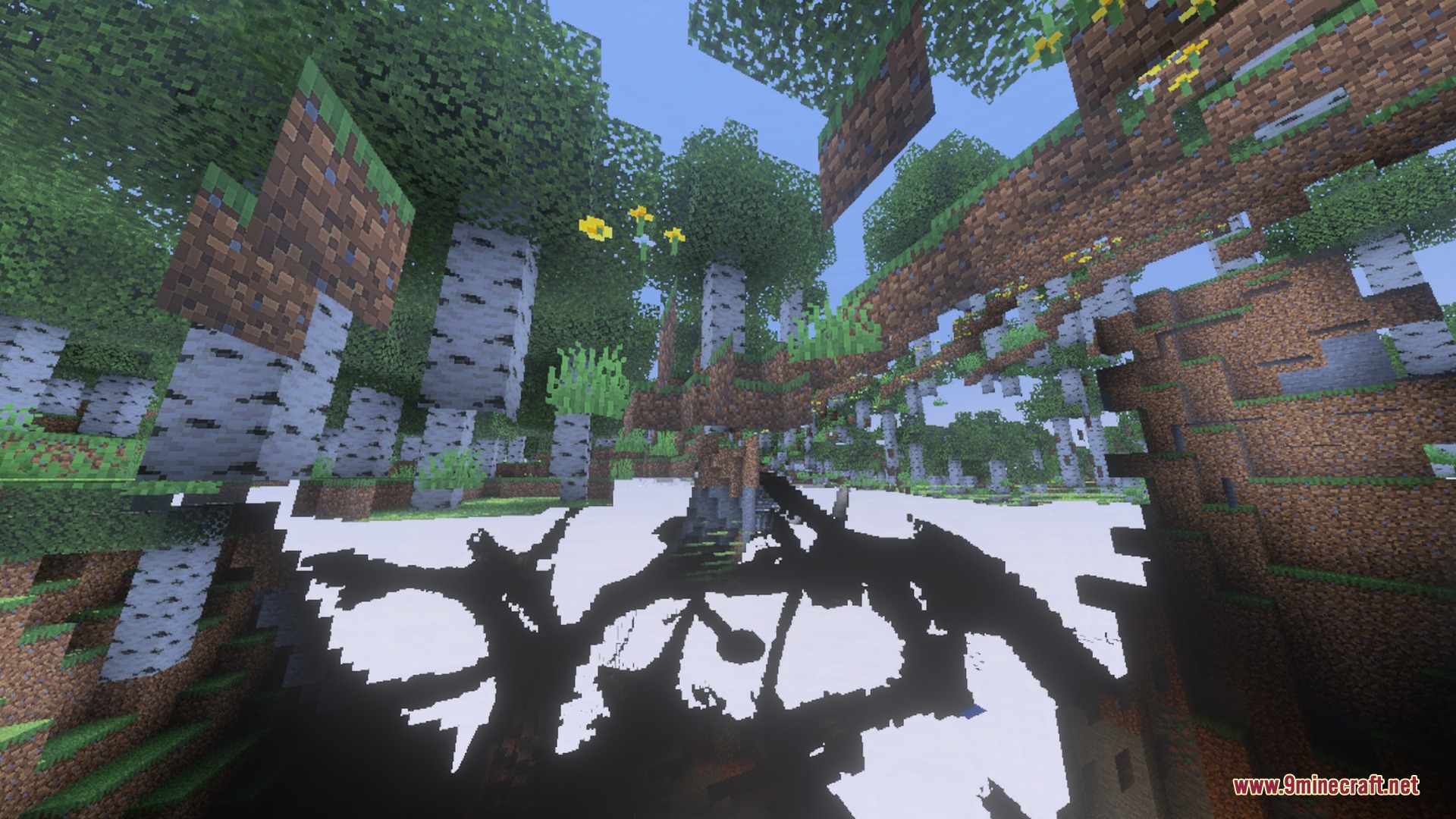 Dynamic shadows cast by birch trees on the grassy forest floor