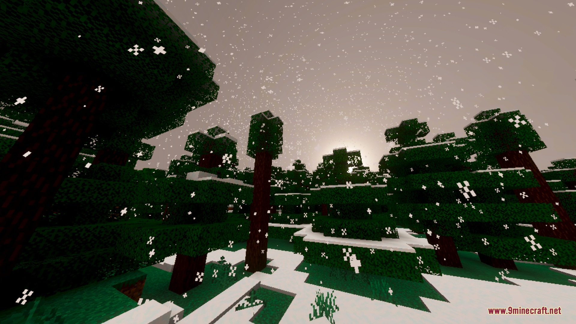 Nexora Visuals Shader Screenshot 10 Soft snowflakes fall over a dense forest of dark green pine trees