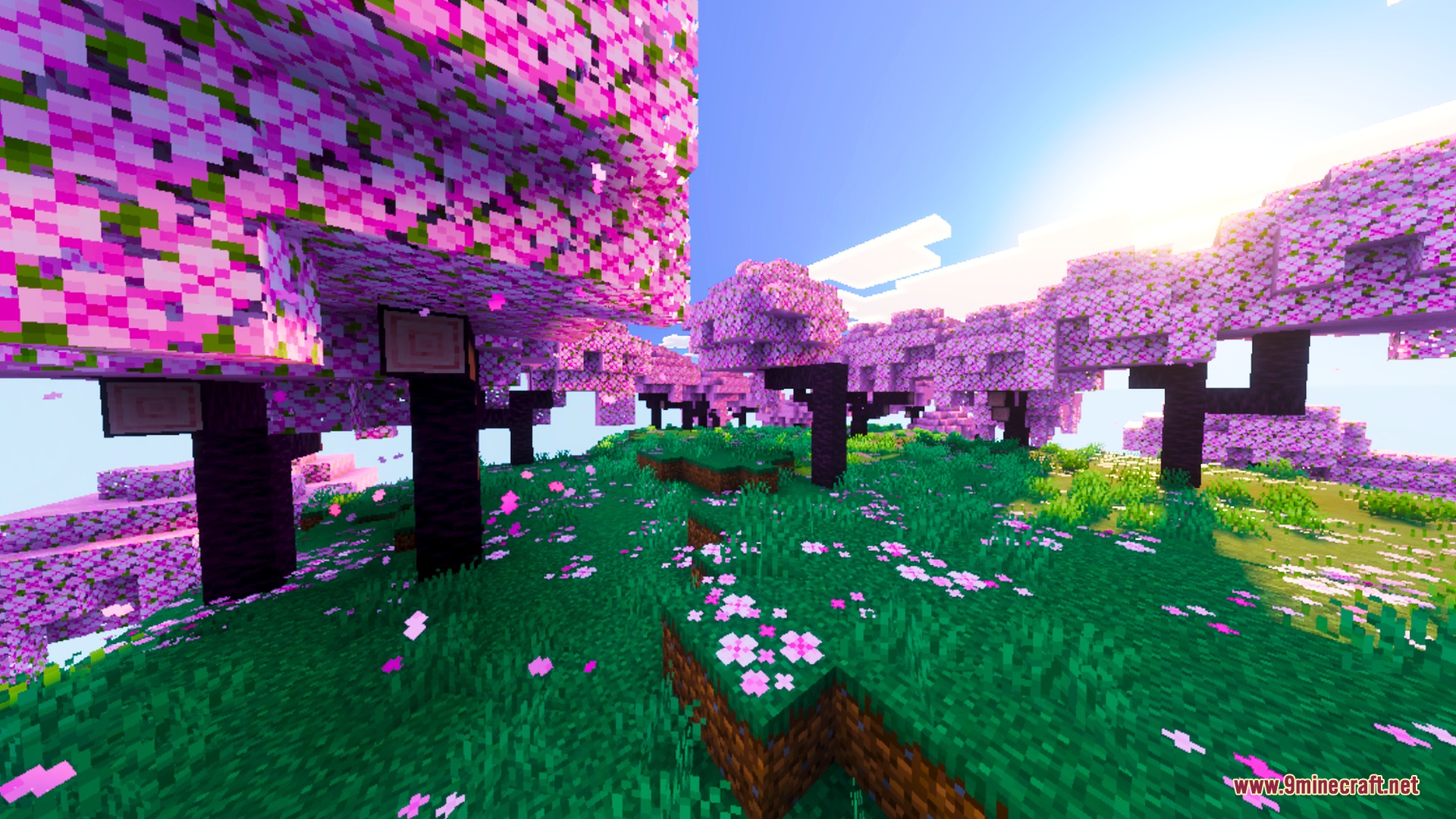 Nexora Visuals Shader (26.x) – Warm Biome Tones and Smooth Water Caustics — screenshot 6