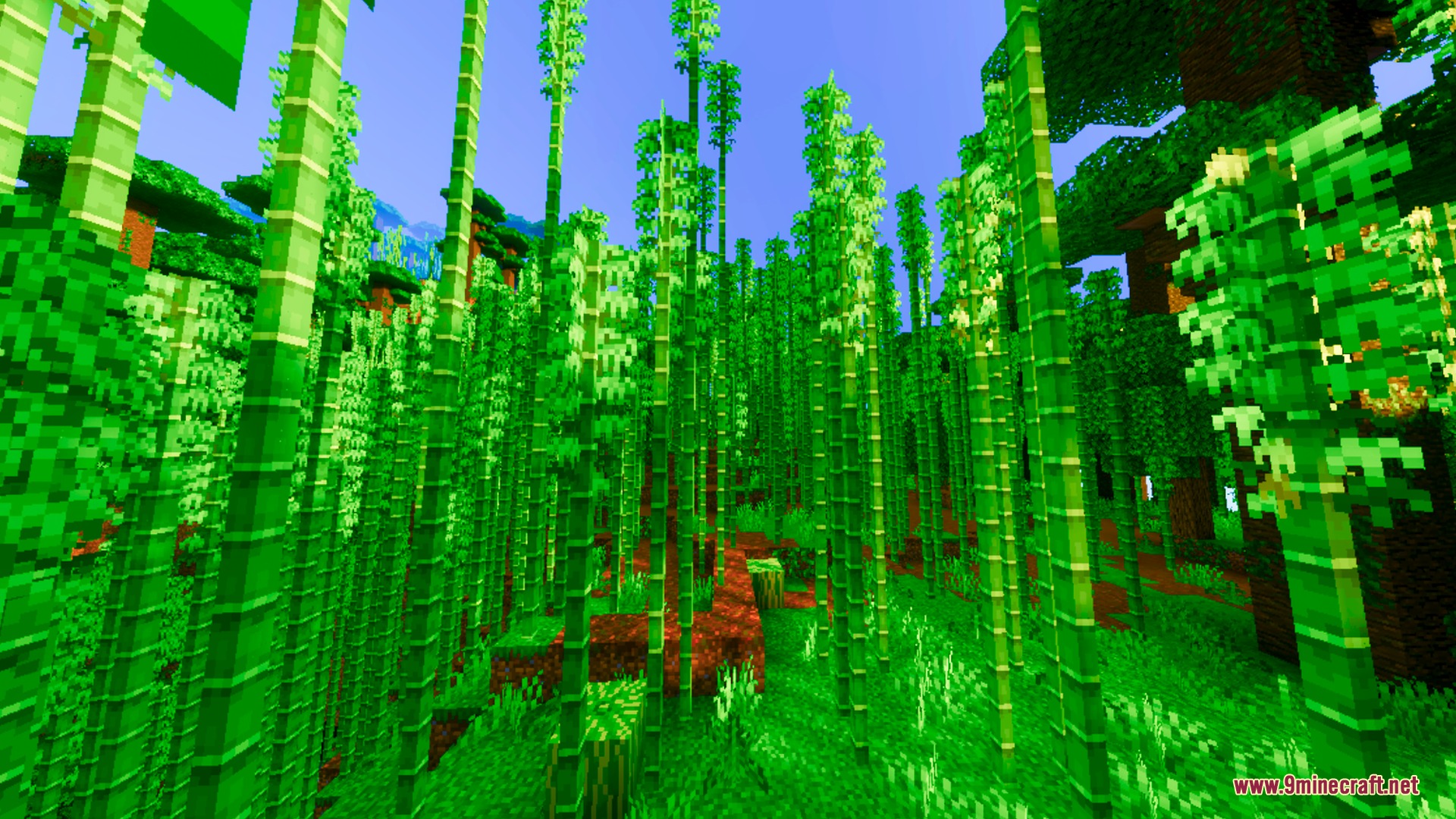 Nexora Visuals Shader (26.x) – Warm Biome Tones and Smooth Water Caustics — screenshot 8