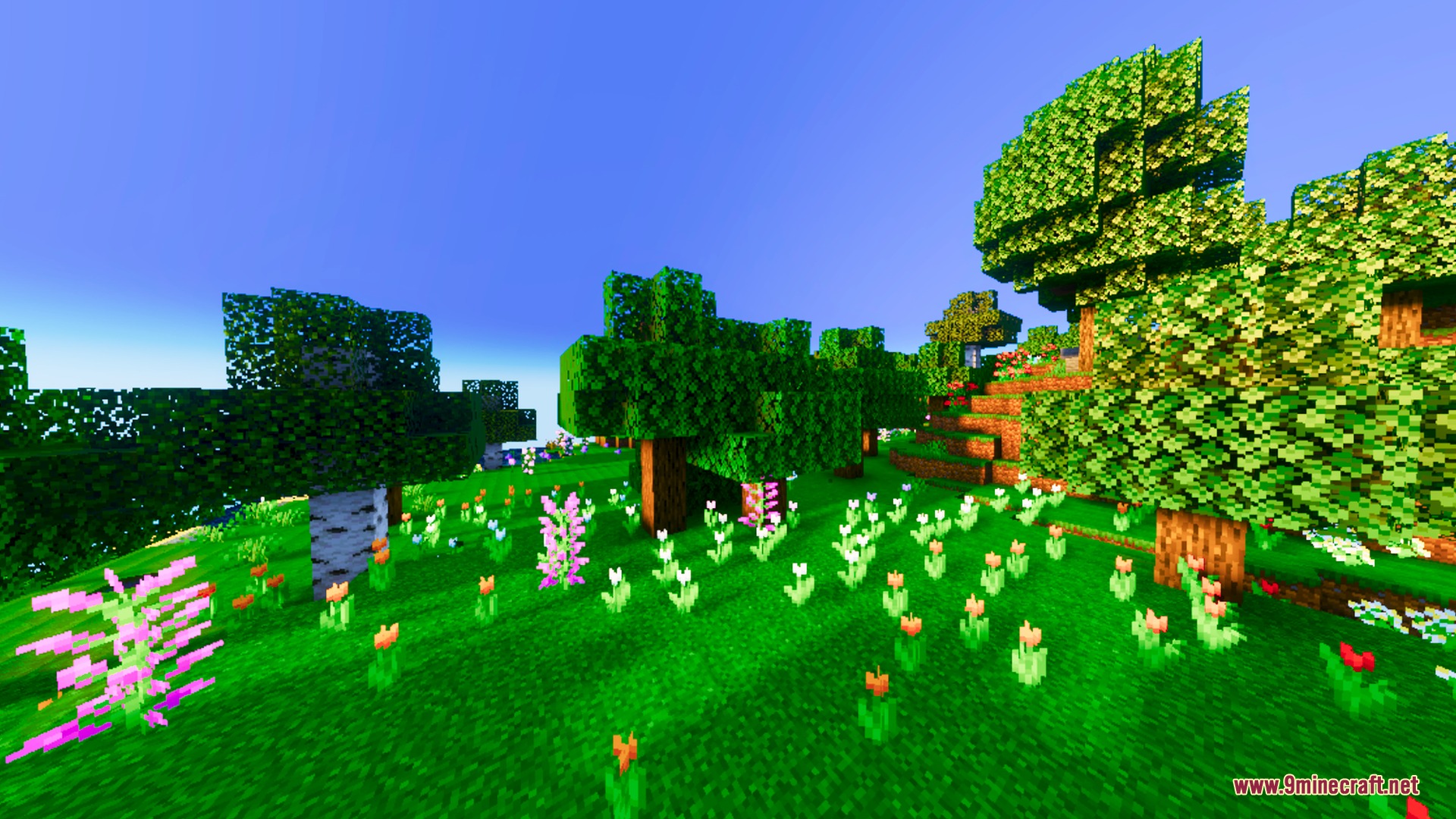 Nexora Visuals Shader Screenshot 9 Nexora Visuals adds warm and saturated colors to a vibrant flower field