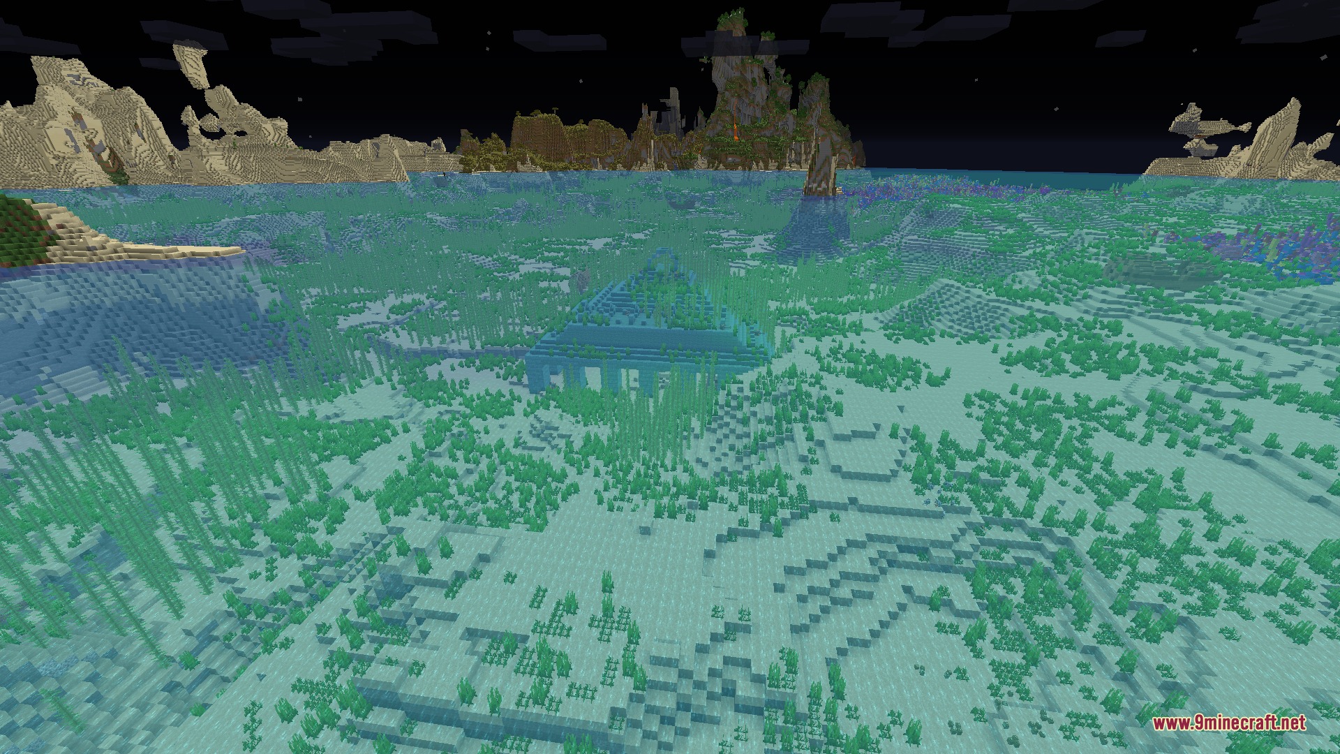 Clear underwater view of an ocean monument and kelp during the night