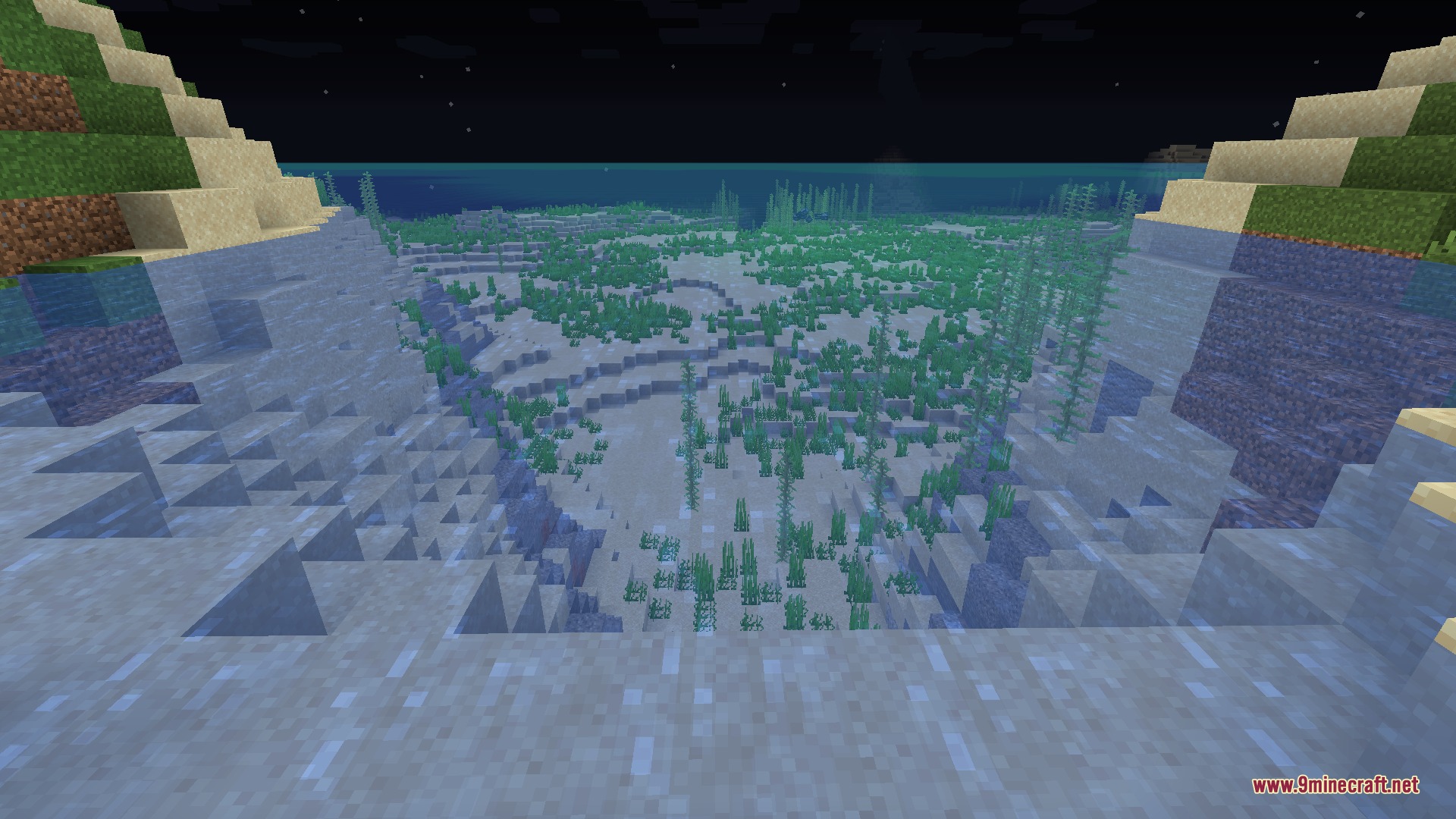 Bright underwater landscape with kelp and sand visible from a dark cave