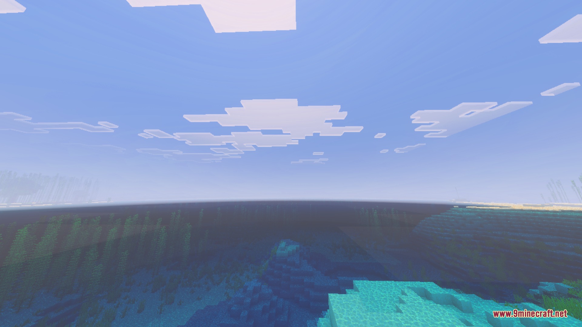 Clear blue underwater view of an ocean with kelp and warm sunlight