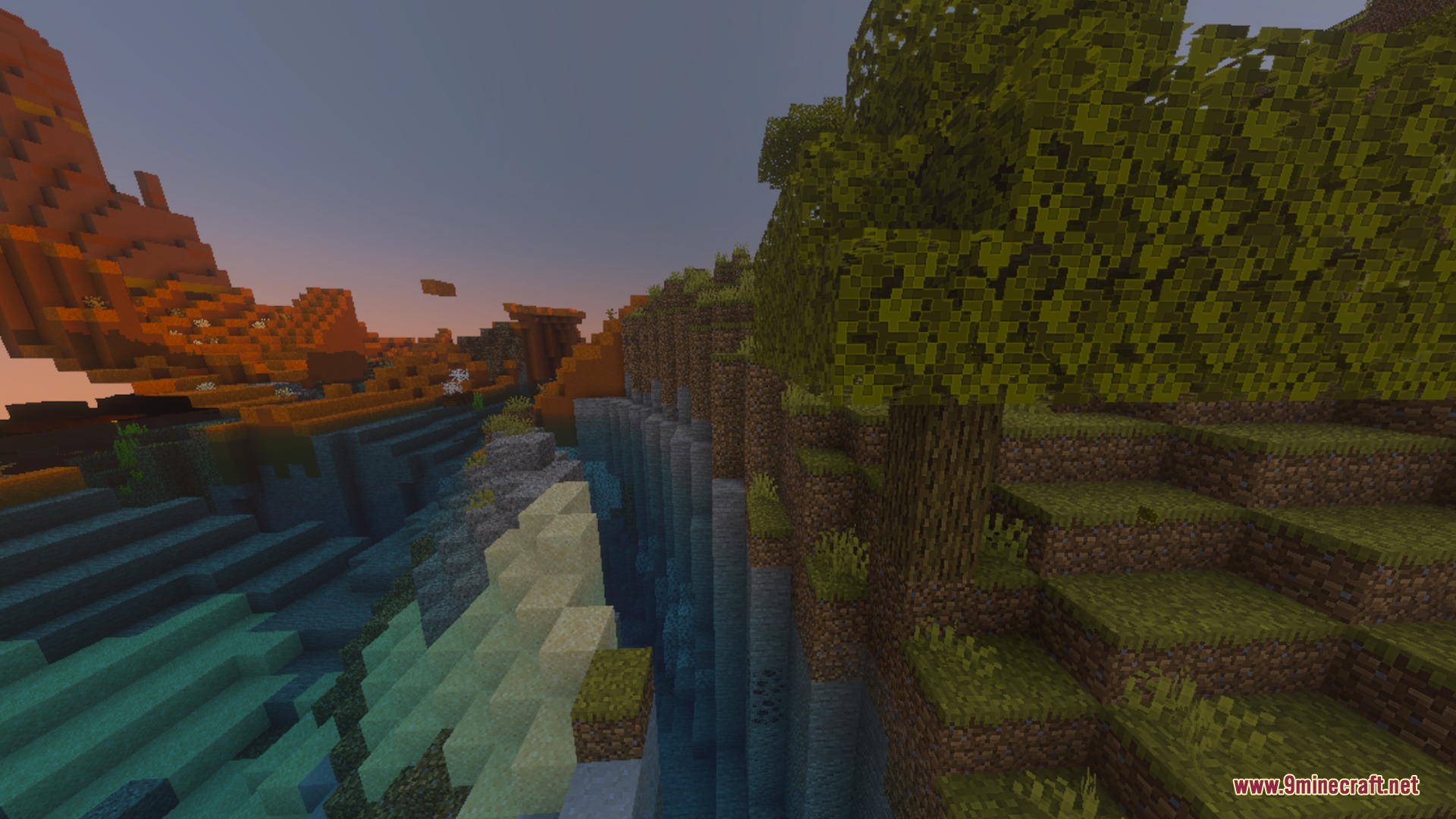 Warm sunset lighting over a deep ravine with lush trees and cliffs