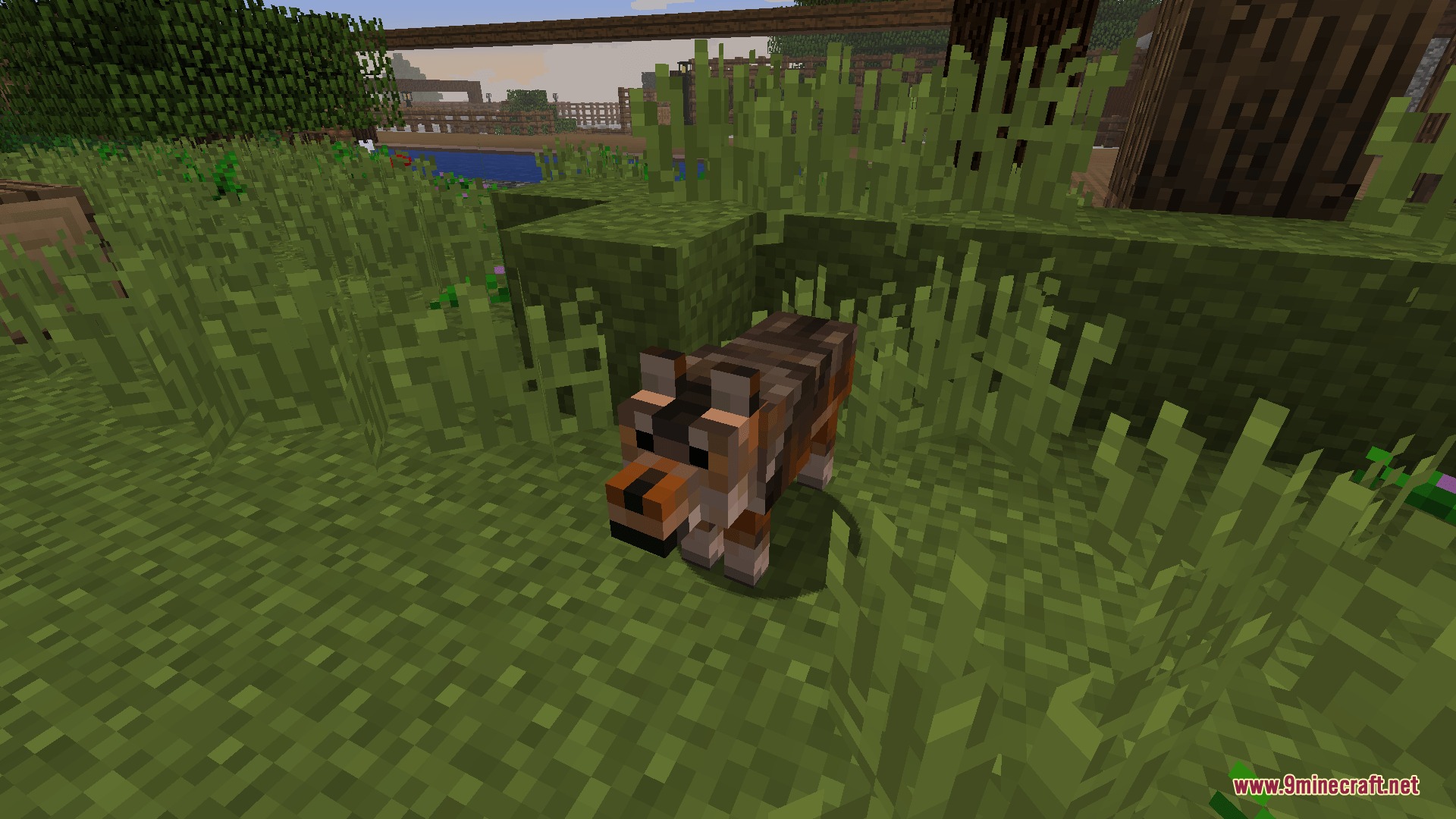 North American Wildlife Mod (1.12.2) – Build Custom Zoos and Wild Nature — screenshot 2