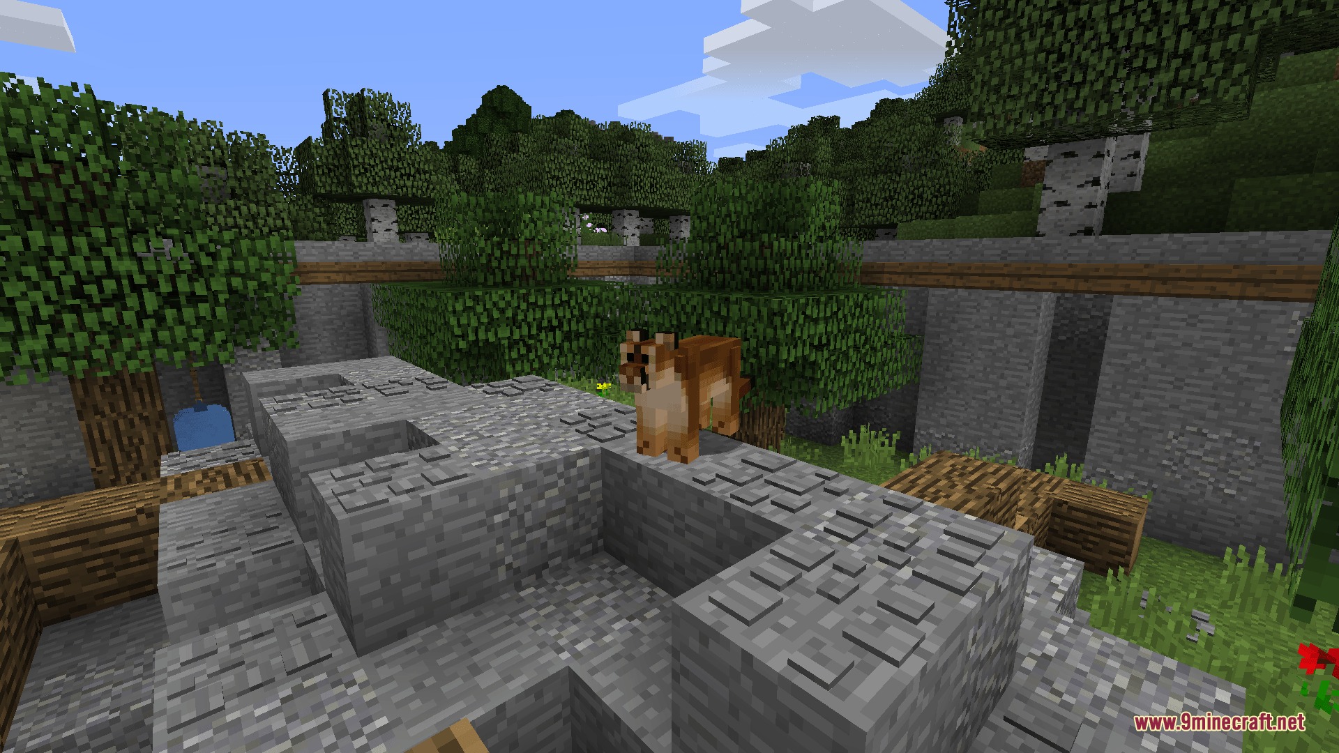 North American Wildlife Mod (1.12.2) – Build Custom Zoos and Wild Nature — screenshot 3