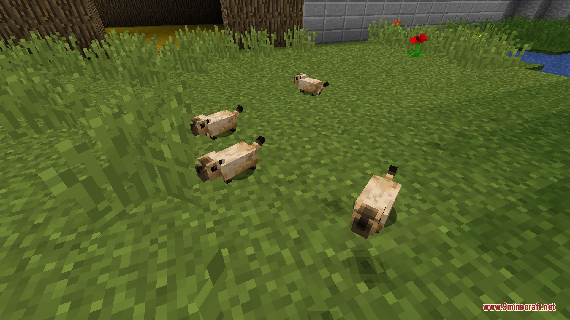 North American Wildlife Mod (1.12.2) – Build Custom Zoos and Wild Nature — screenshot 6