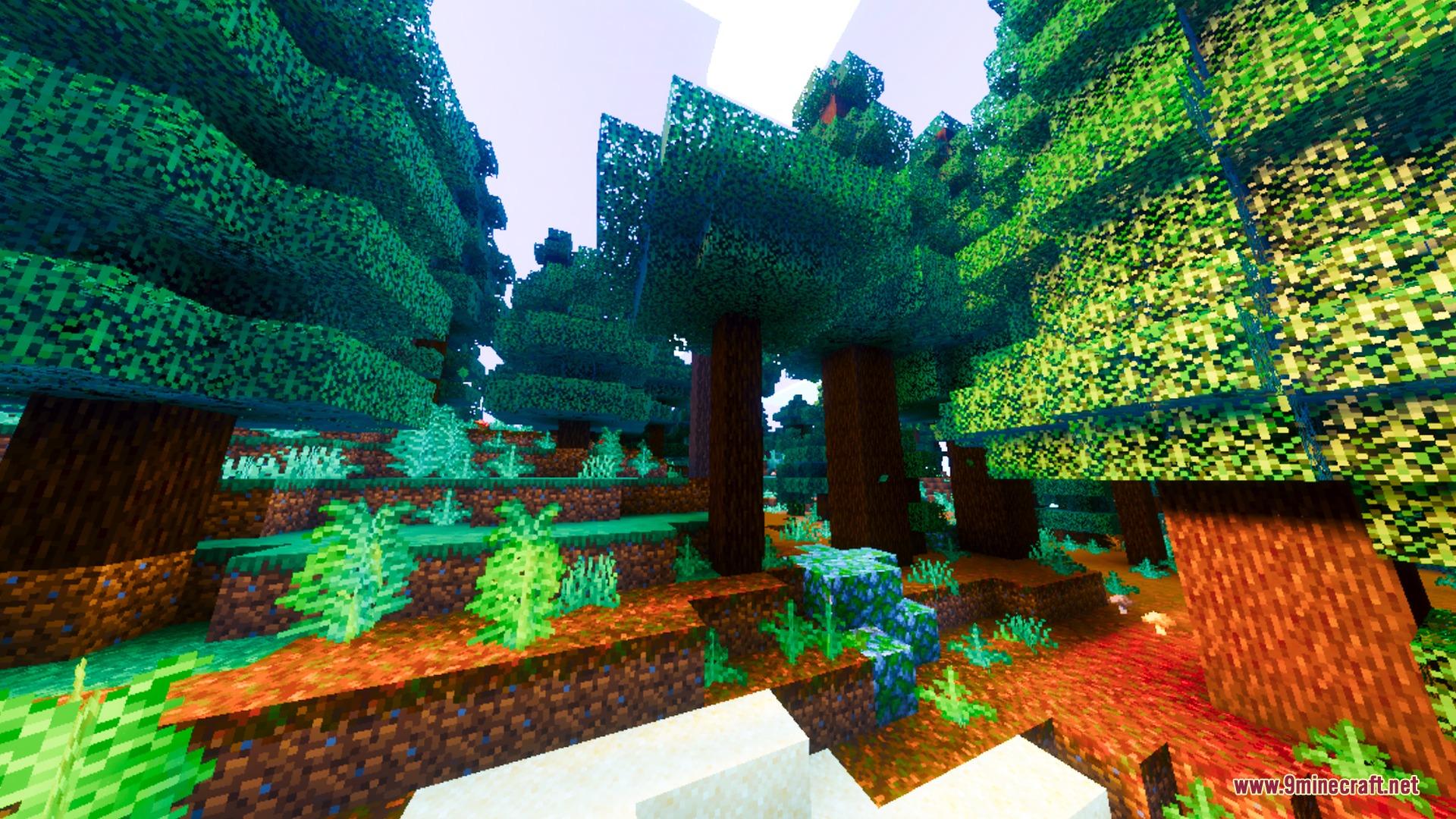 Nova Prism Visuals Shader (26.x) – Glassy Reflective Water and Saturated Colors — screenshot 6