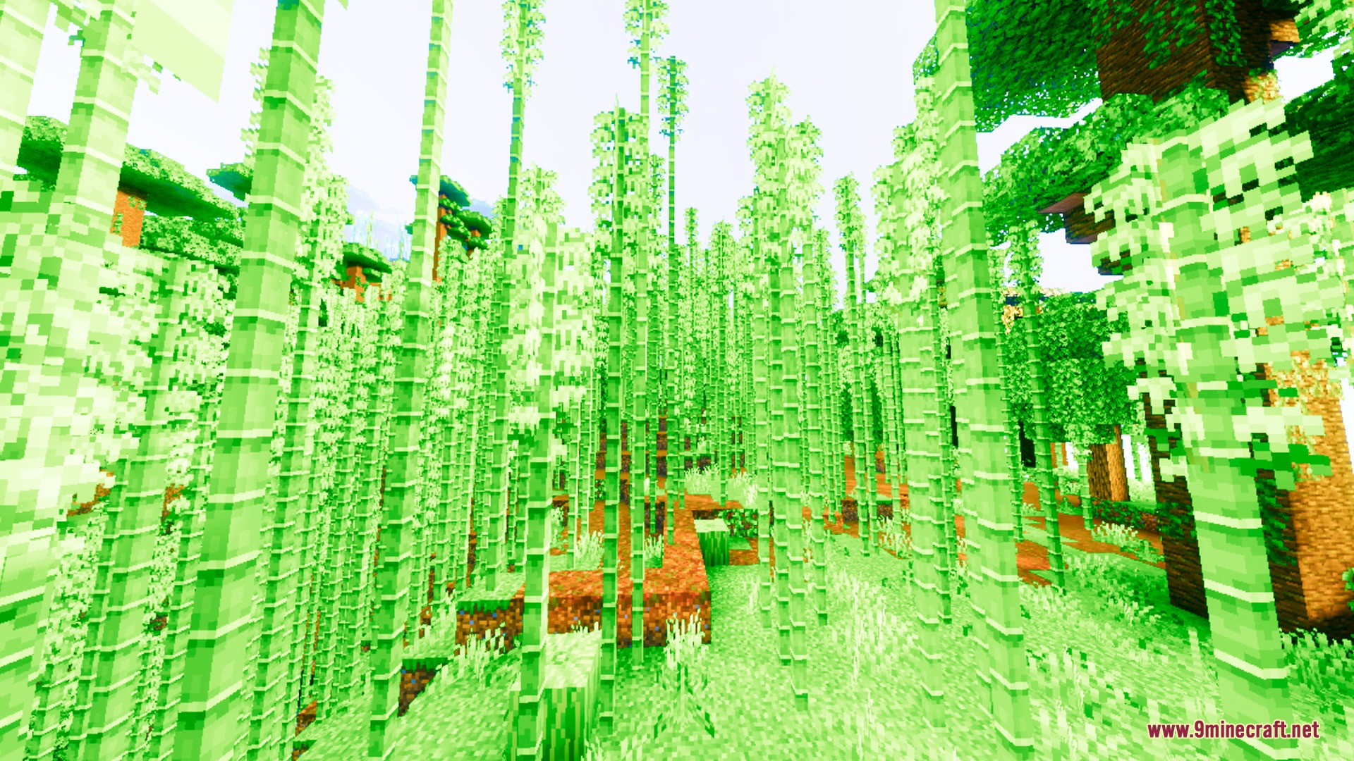 Nova Prism Visuals Shader (26.x) – Glassy Reflective Water and Saturated Colors — screenshot 8