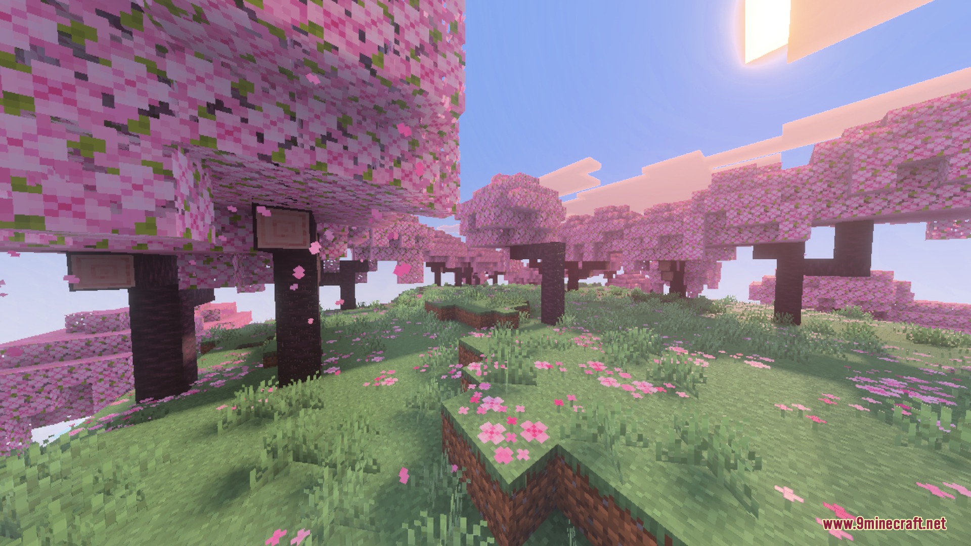 A cherry blossom forest with soft sunlight and realistic volumetric fog effects