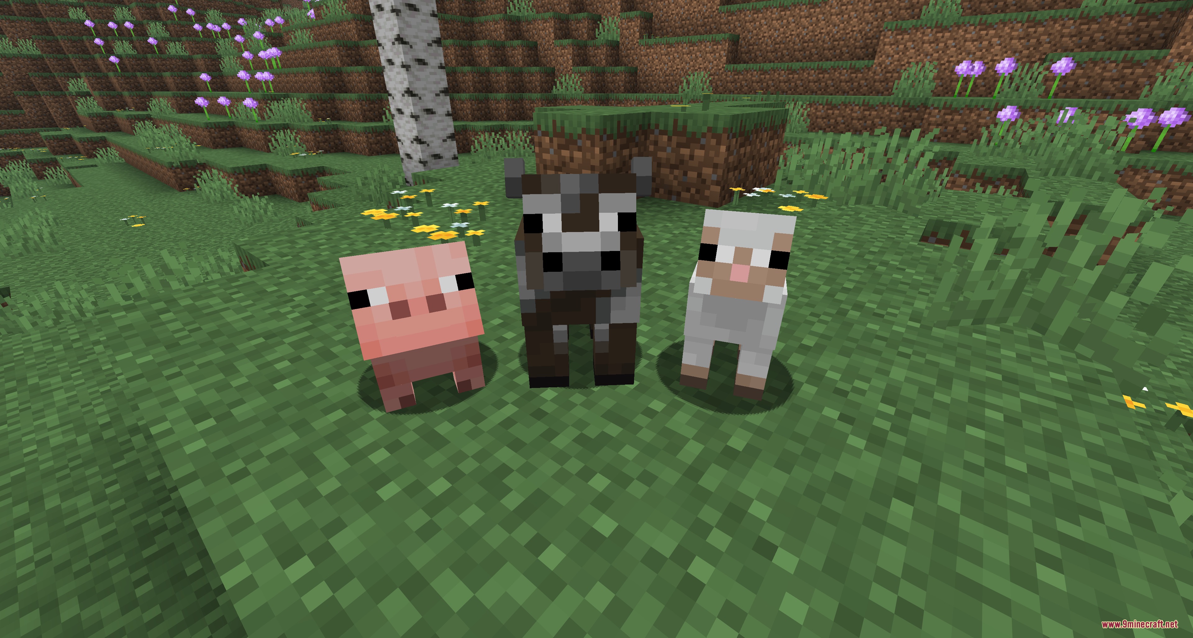 Baby pig cow and sheep with refined facial textures stand on green grass