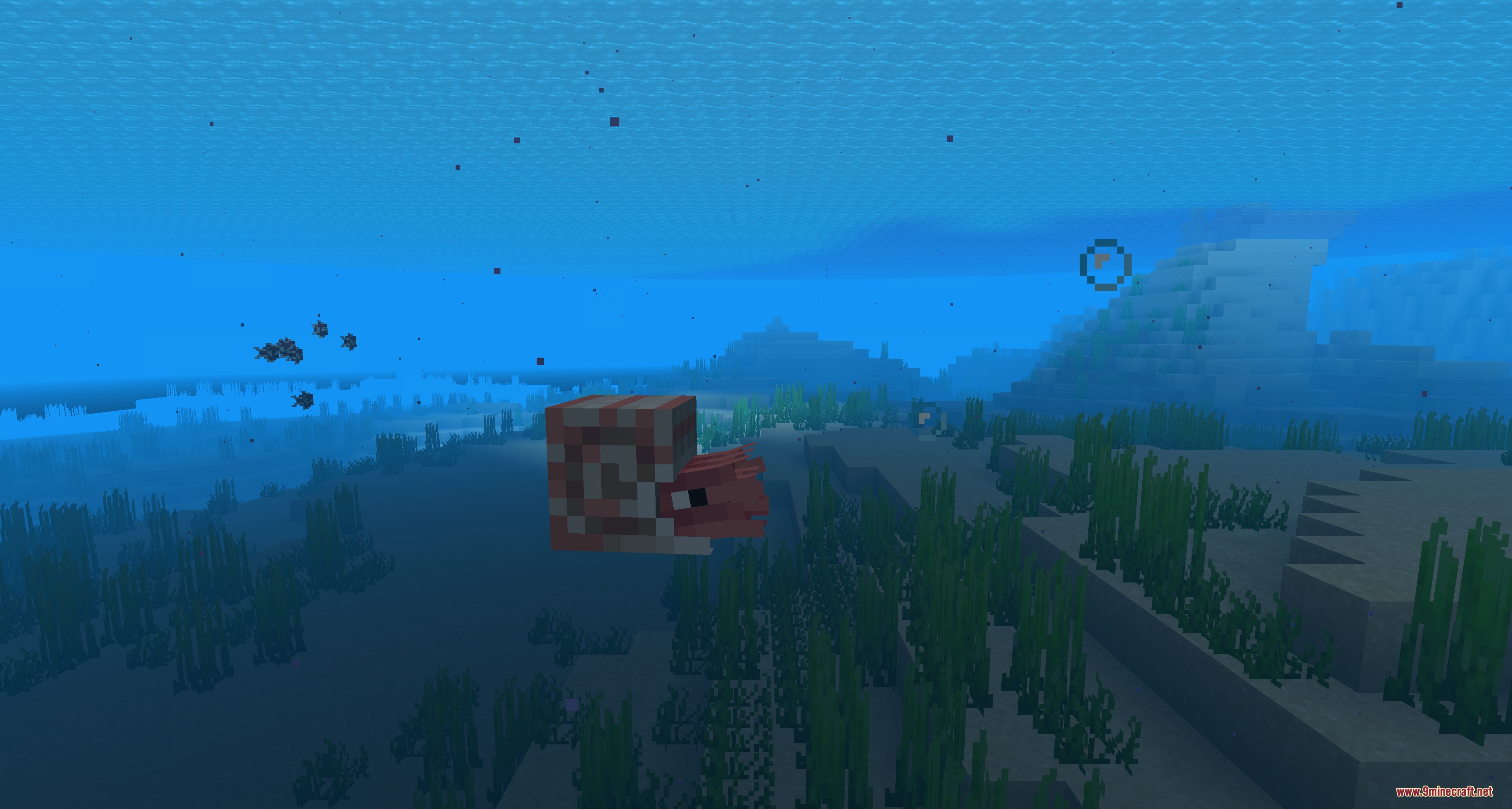 A baby nautilus with refined skin textures swimming through a clear blue ocean